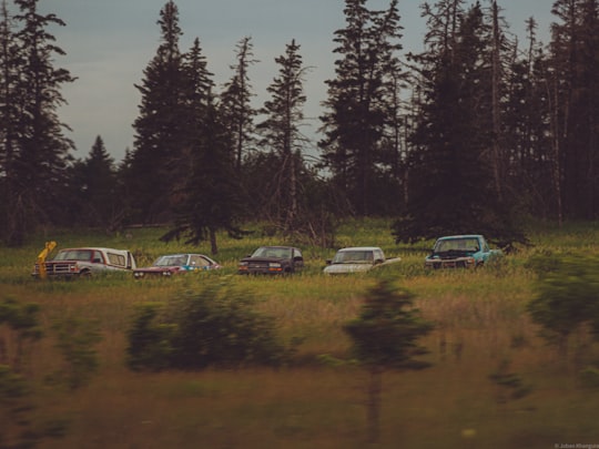 cars parked on parking lot near trees during daytime in Pine Dock Canada
