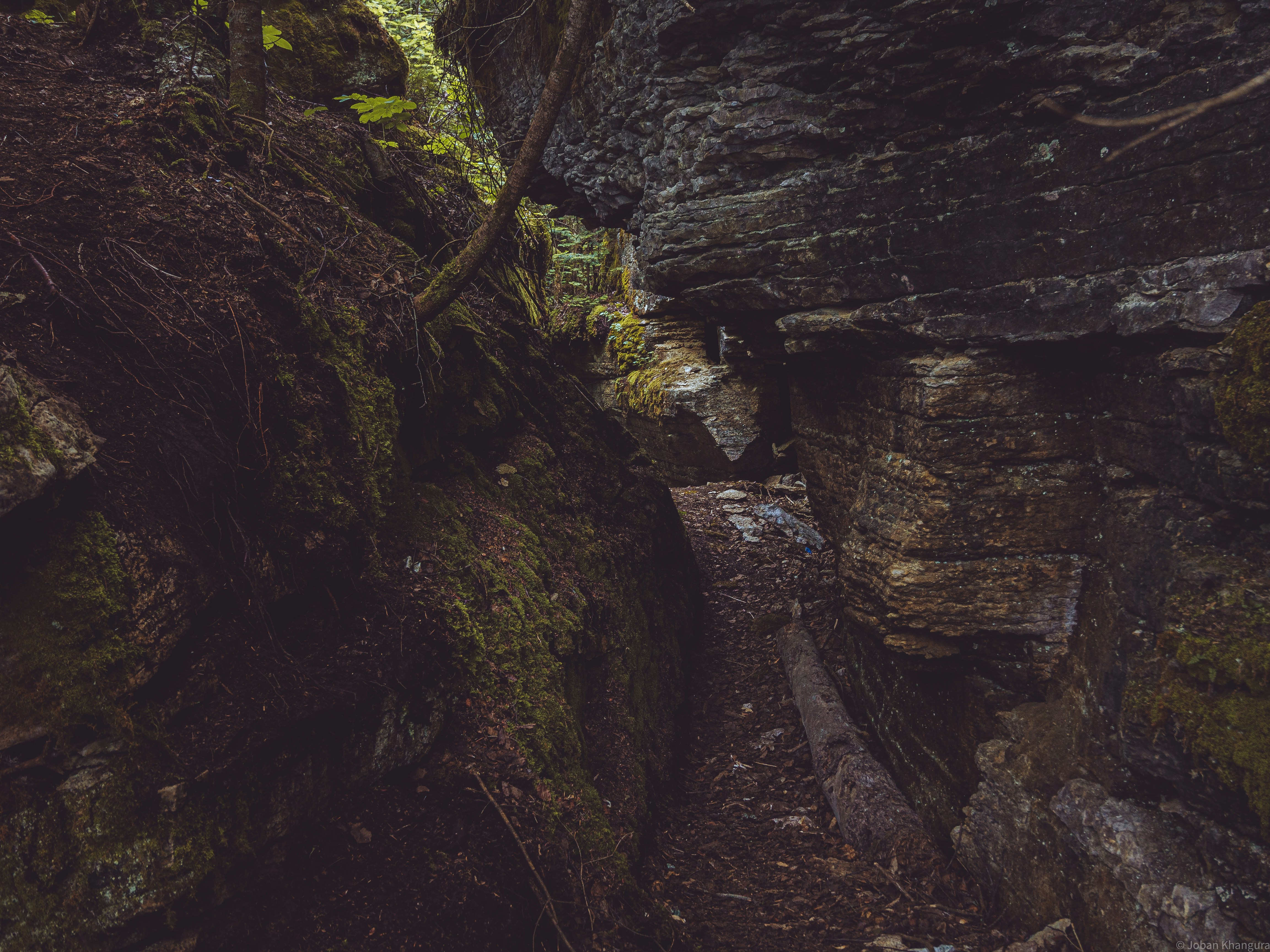 Photo by jobankhangura