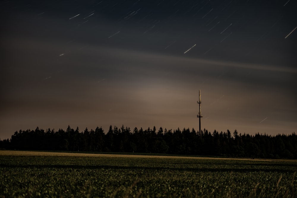 green grass field under blue sky during night time