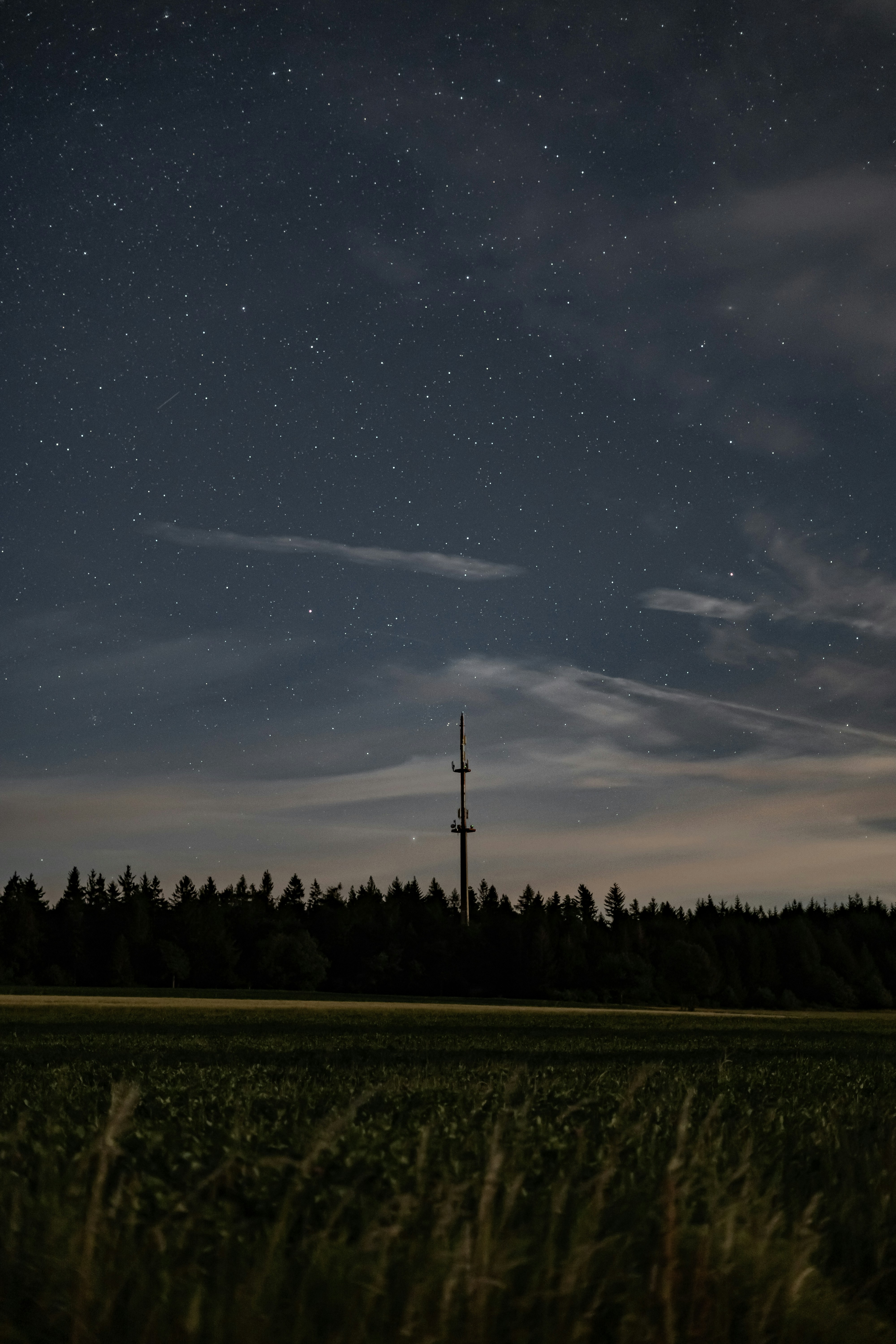 夜の時間の間に星と青い空の下の緑の芝生フィールドの写真 Unsplashで見つけるグレーの無料写真