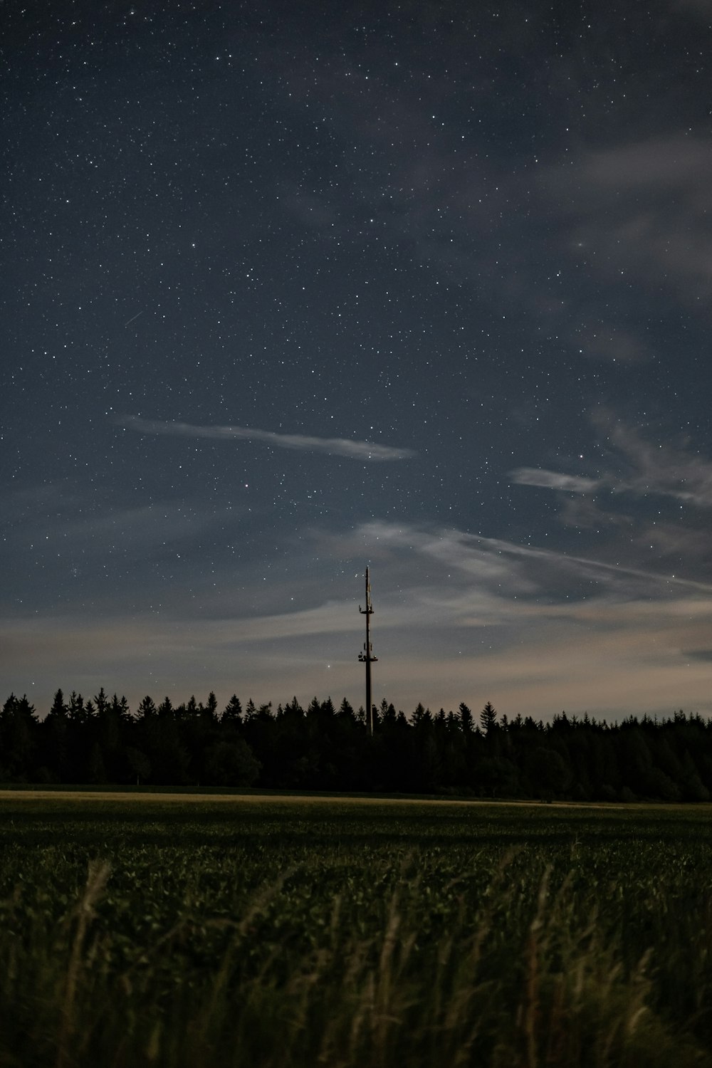campo de hierba verde bajo el cielo azul con estrellas durante la noche
