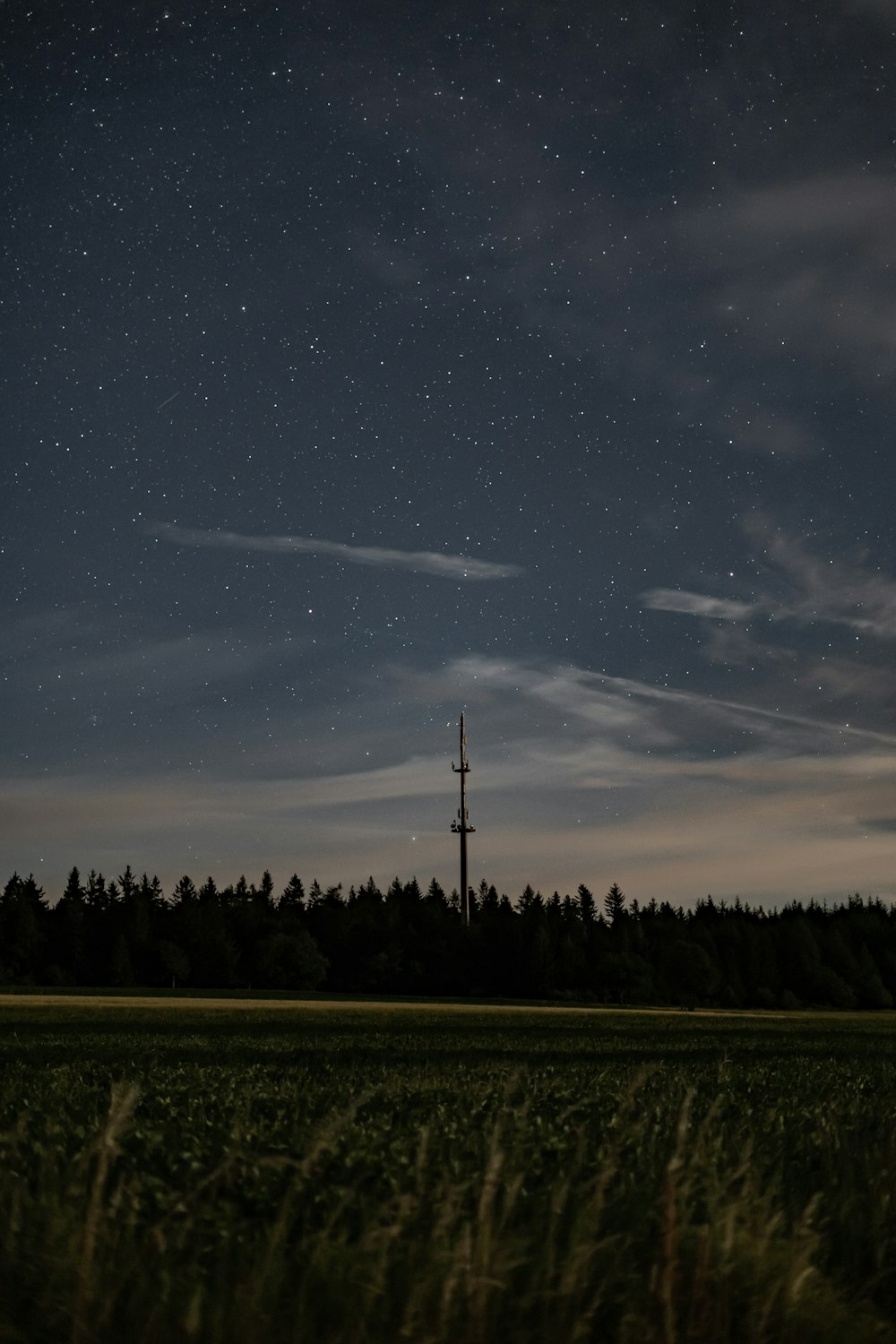 green grass field under blue sky with stars during night time