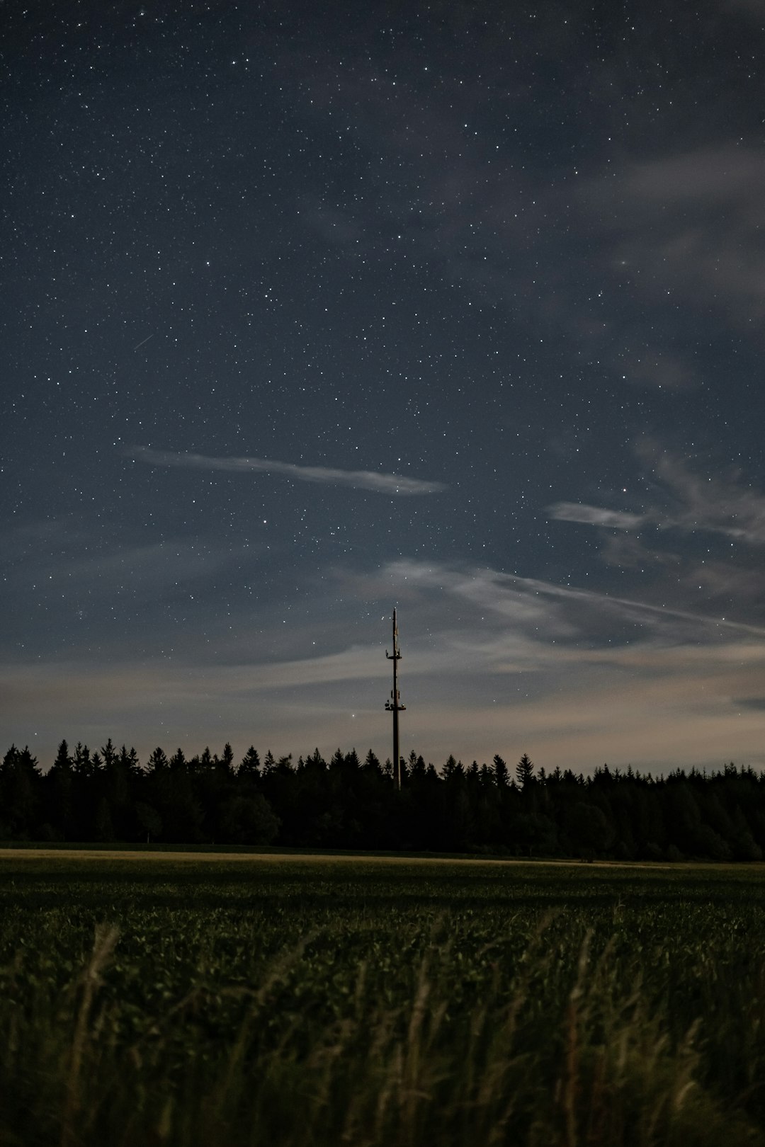 green grass field under blue sky with stars during night time