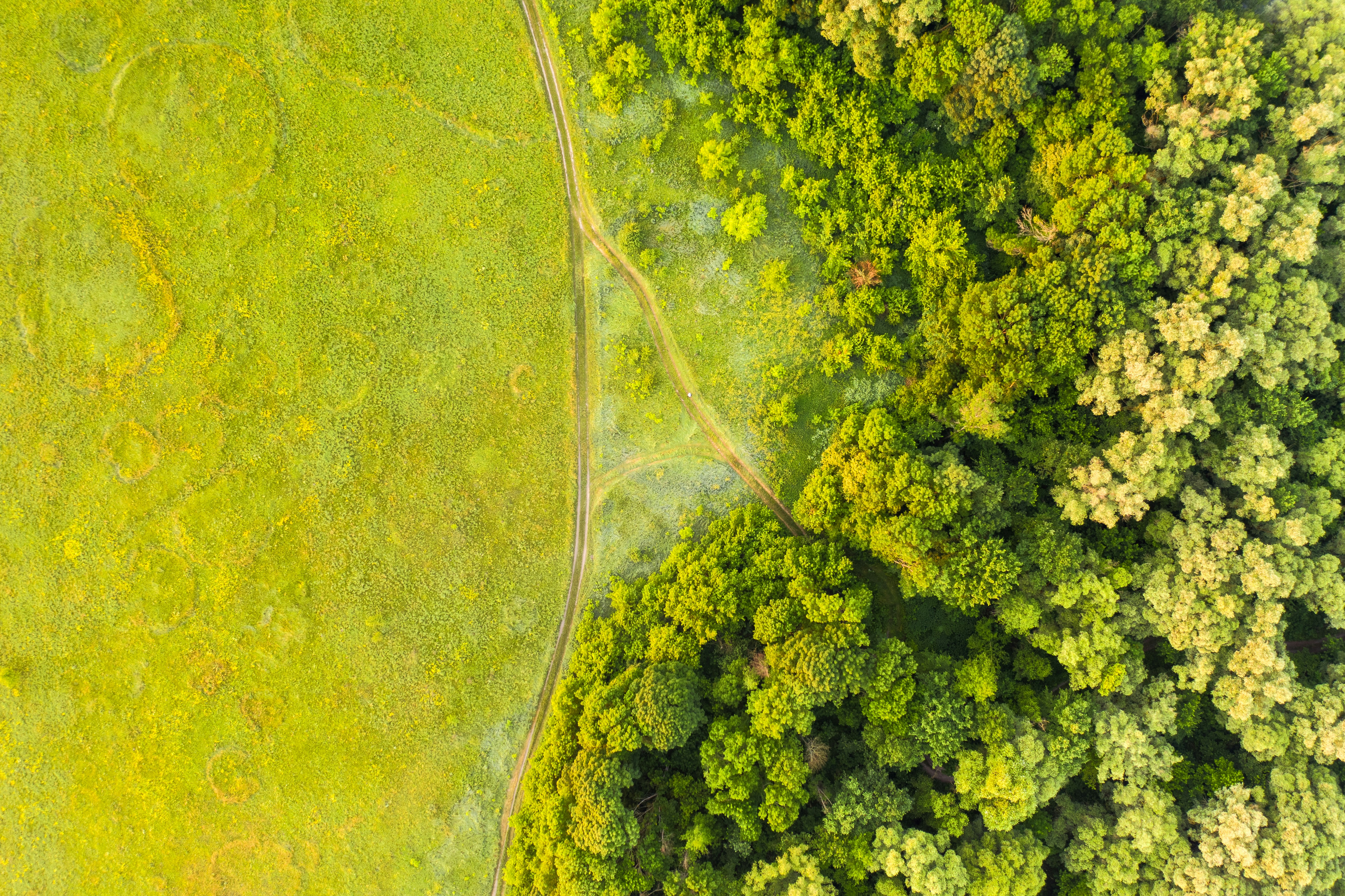 Photo by photofixation