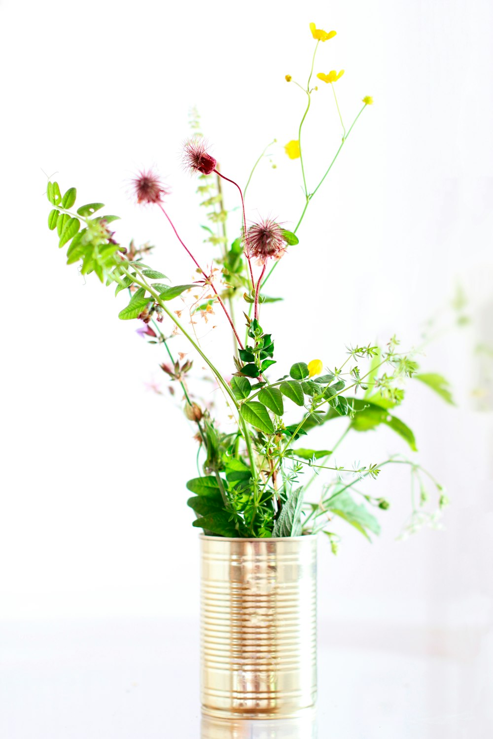 fiori rosa e bianchi in vaso di vetro trasparente