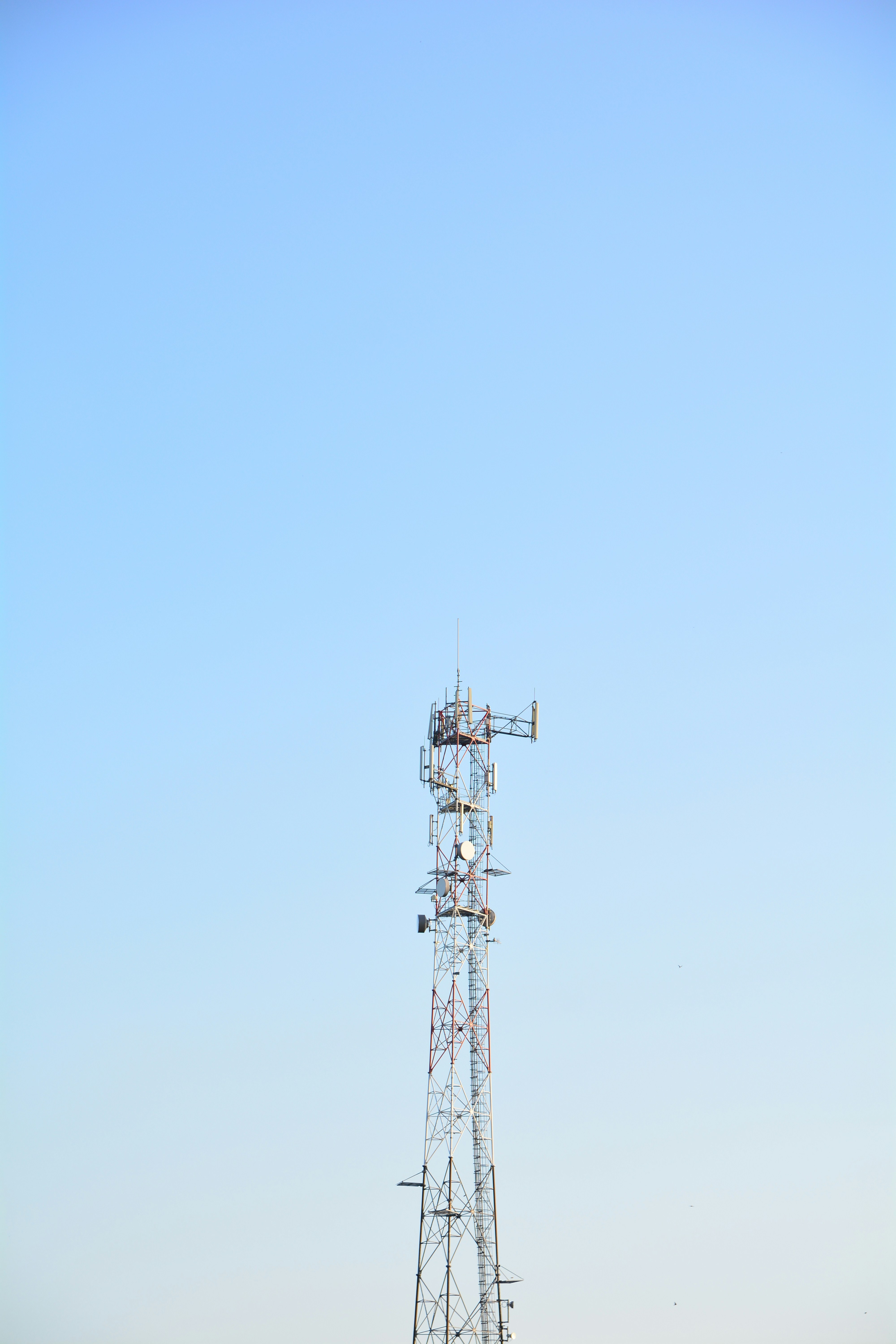 Photo by szucslaszlo