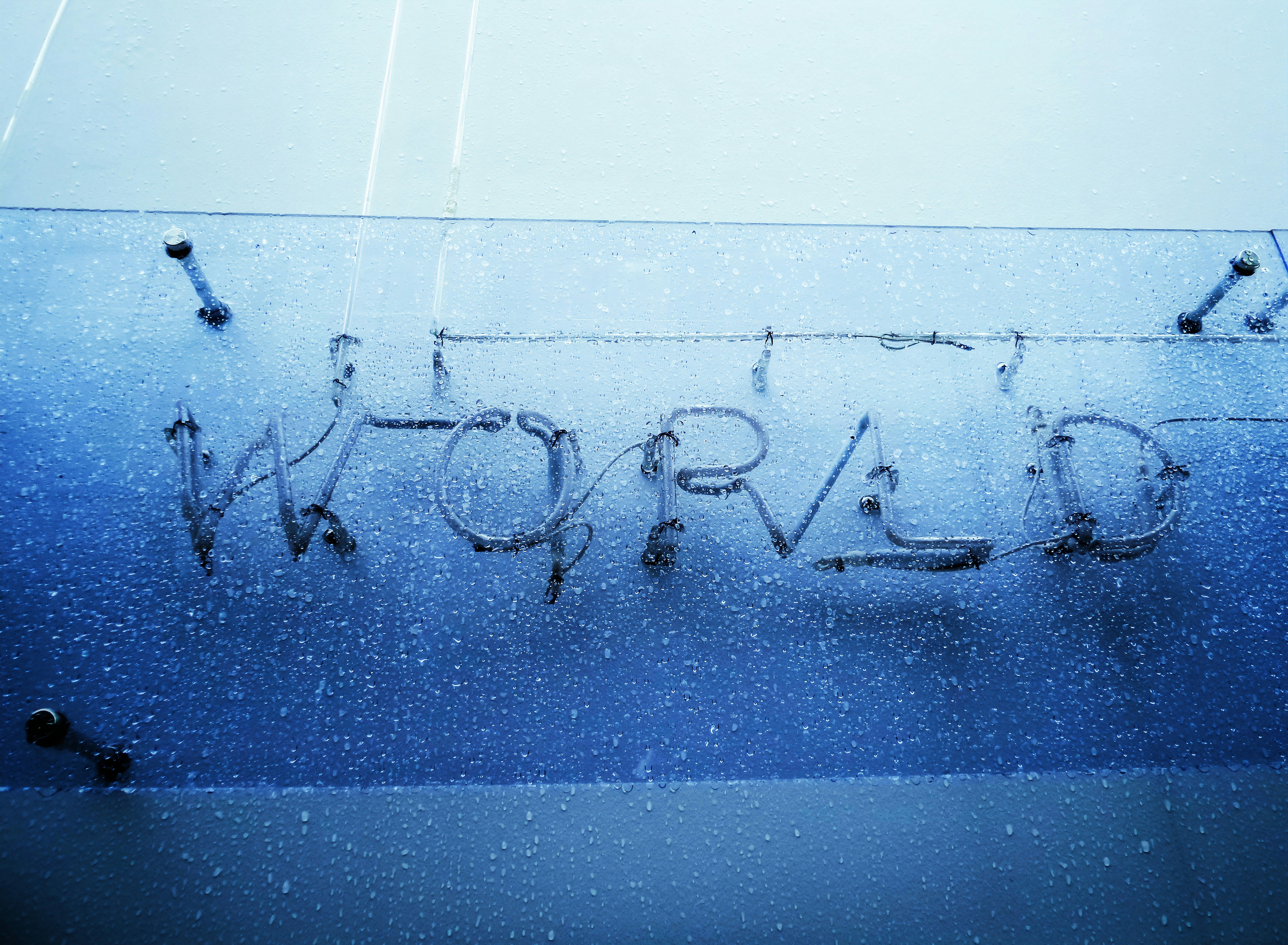 Freeze Impact On Diversity