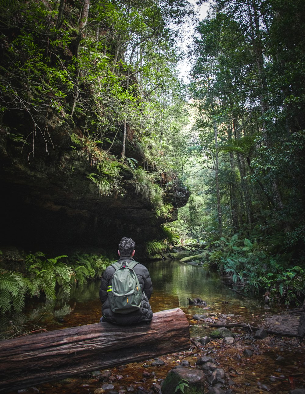 man in gray jacket and black backpack standing on river in the middle of forest during