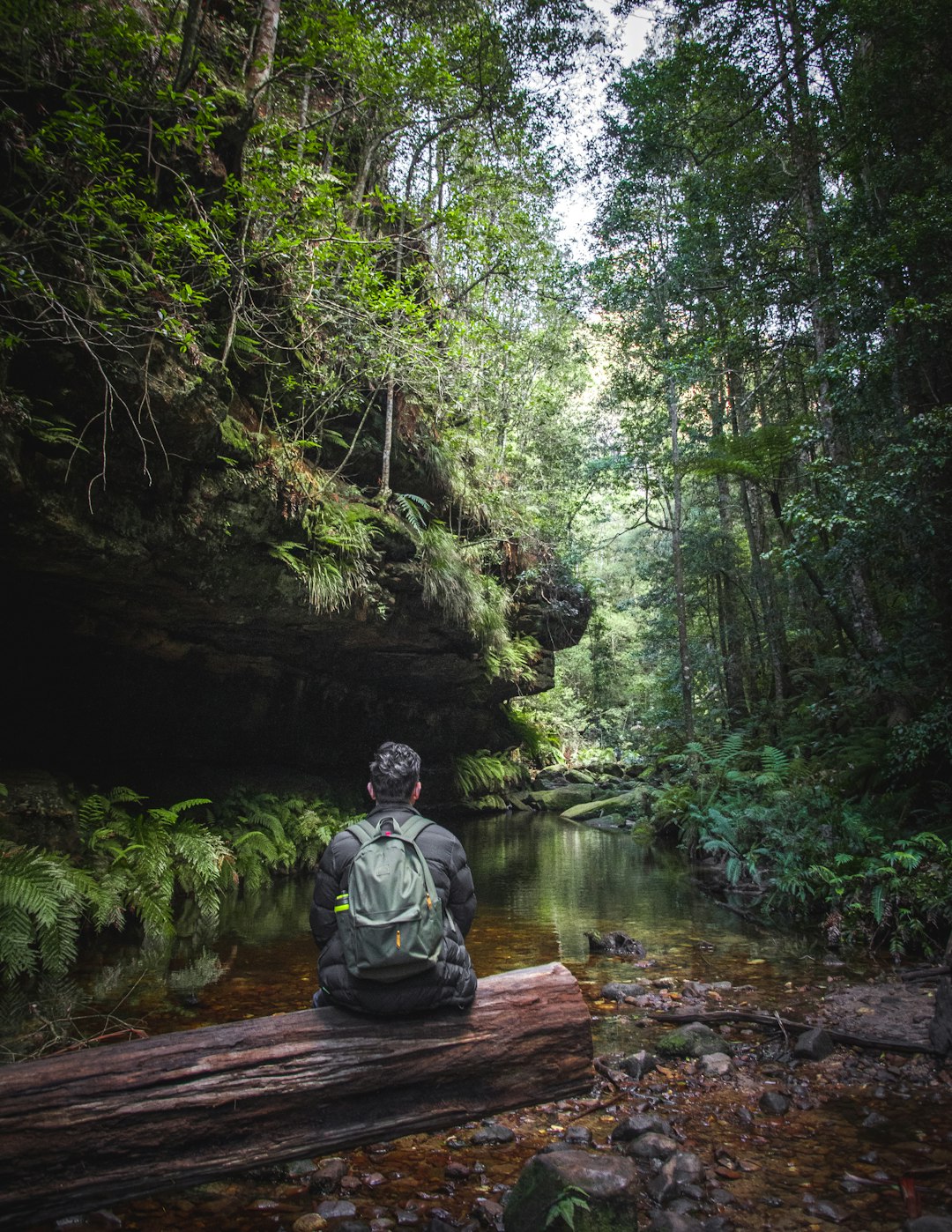 Jungle photo spot Blue Mountains Leura