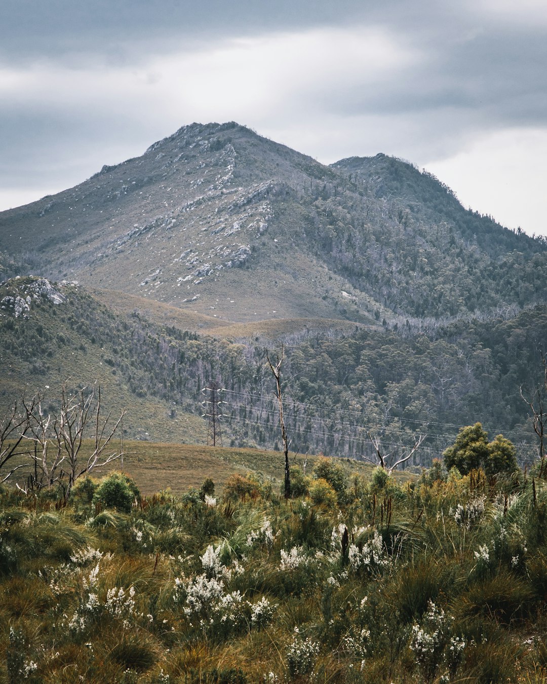 Hill photo spot Tasmania Cradle Mountain-Lake St Clair National Park