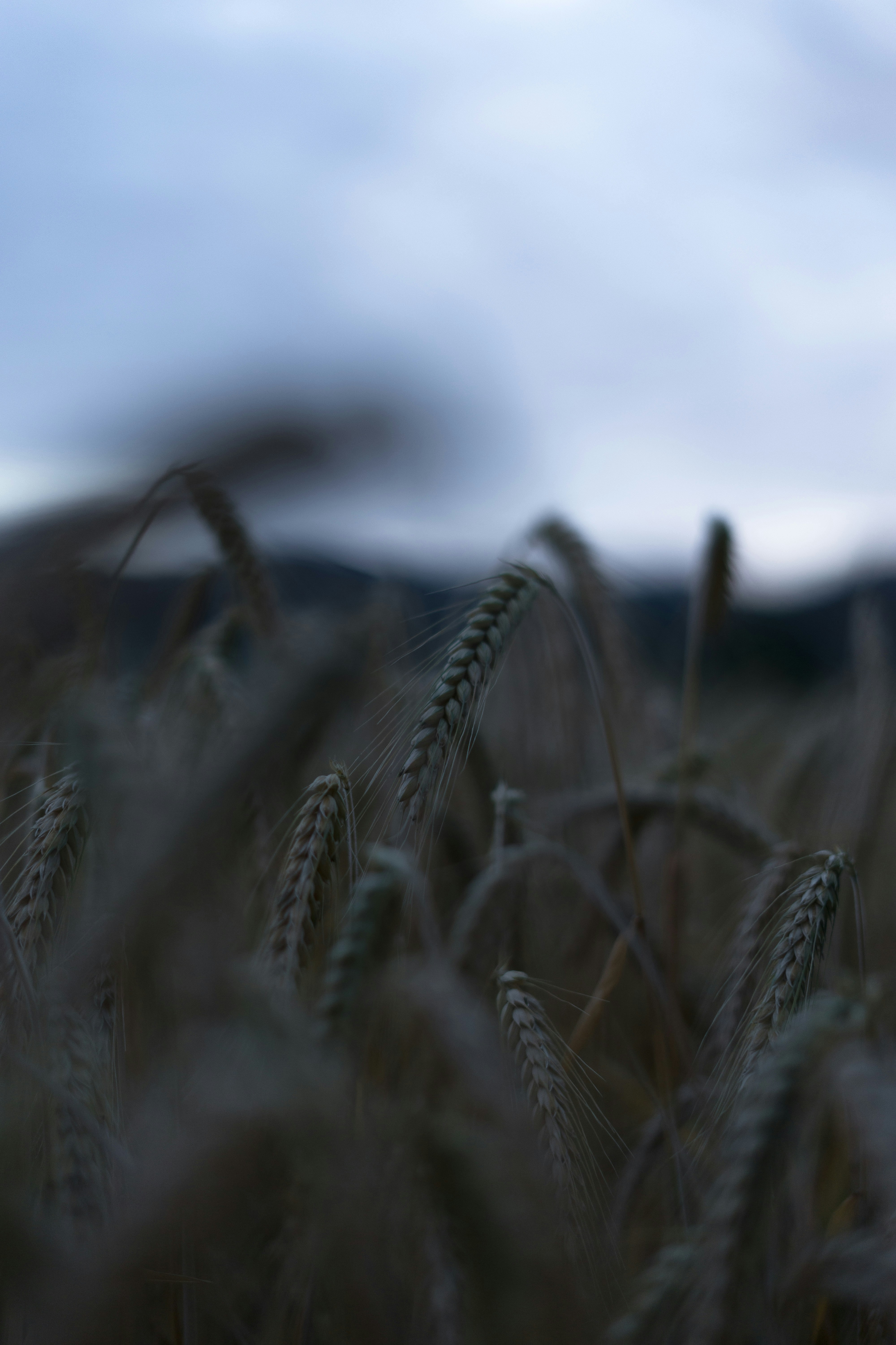Photo by dolisjakiv