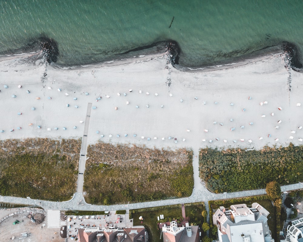 people on beach during daytime