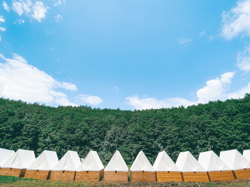 white wooden fence near green trees under blue sky during daytime