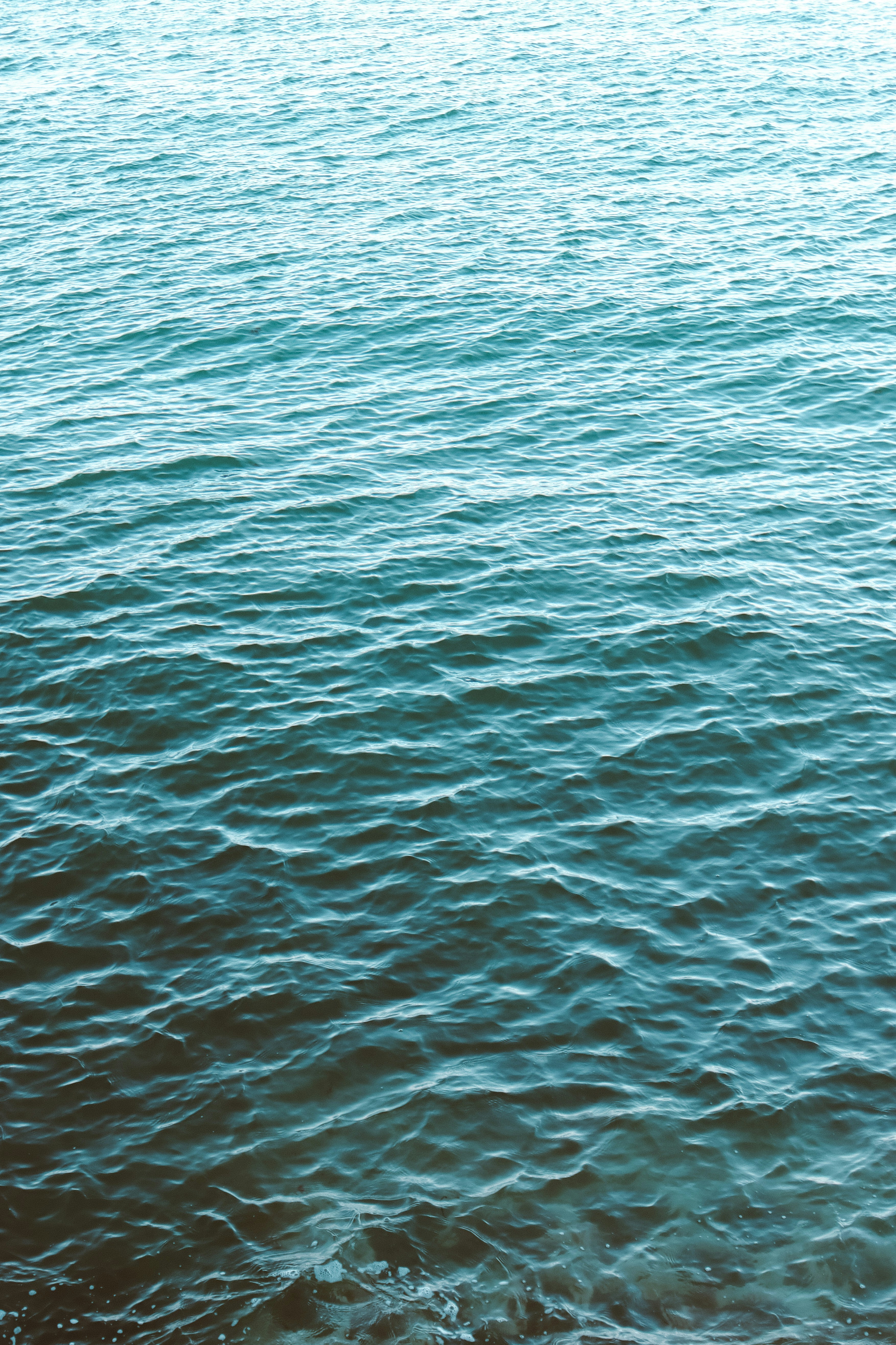 Photo by tamarahornby