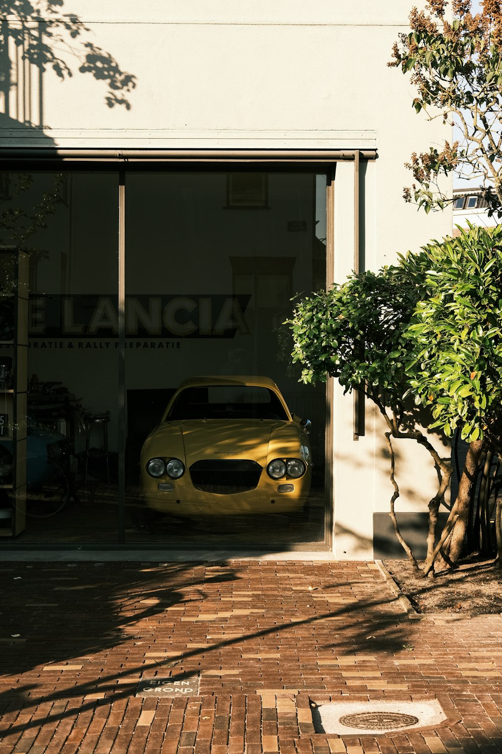 Scarabeo giallo Volkswagen parcheggiato accanto all'albero verde durante il giorno