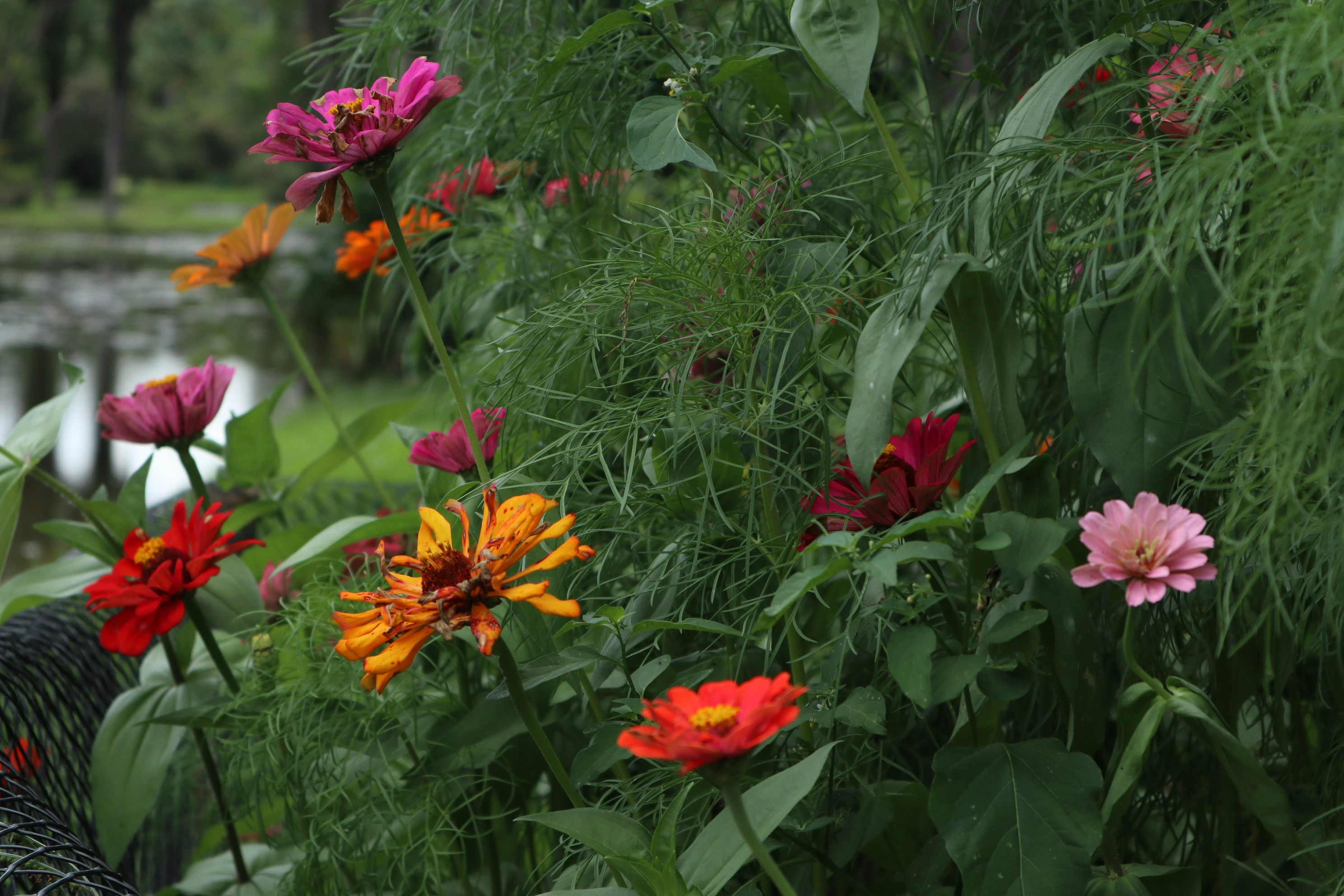 Photo by giovanna_os