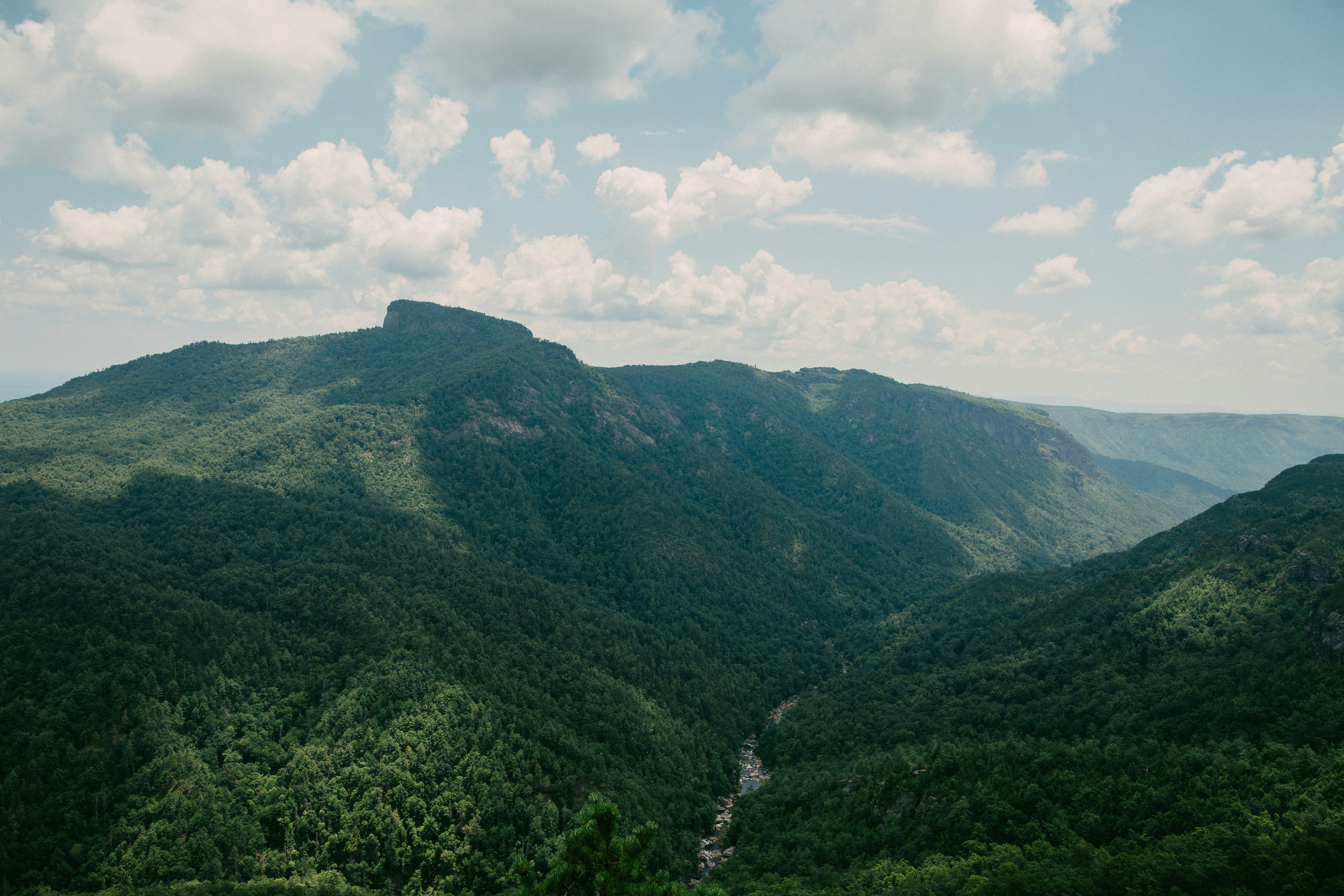 view of Linville Gorge from Wiseman's View