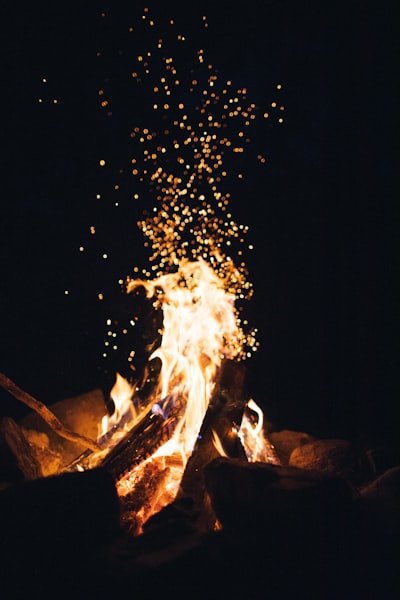 Mountain View Backyard with Fire Pit photo 3