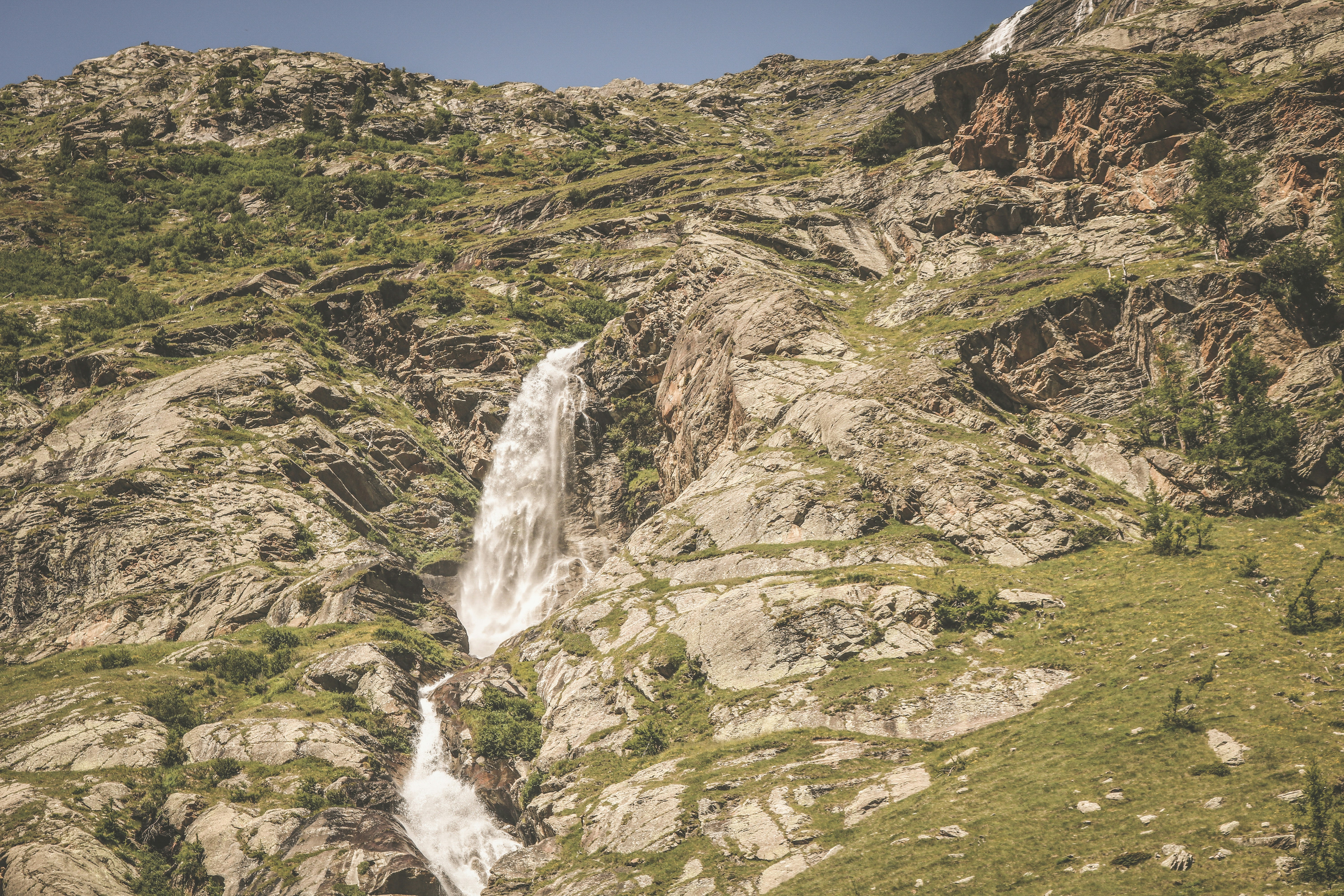 Keep it simple and earthy with a brown background from Unsplash. All of our images are beautiful, curated, and free to download. Welcome to the future.