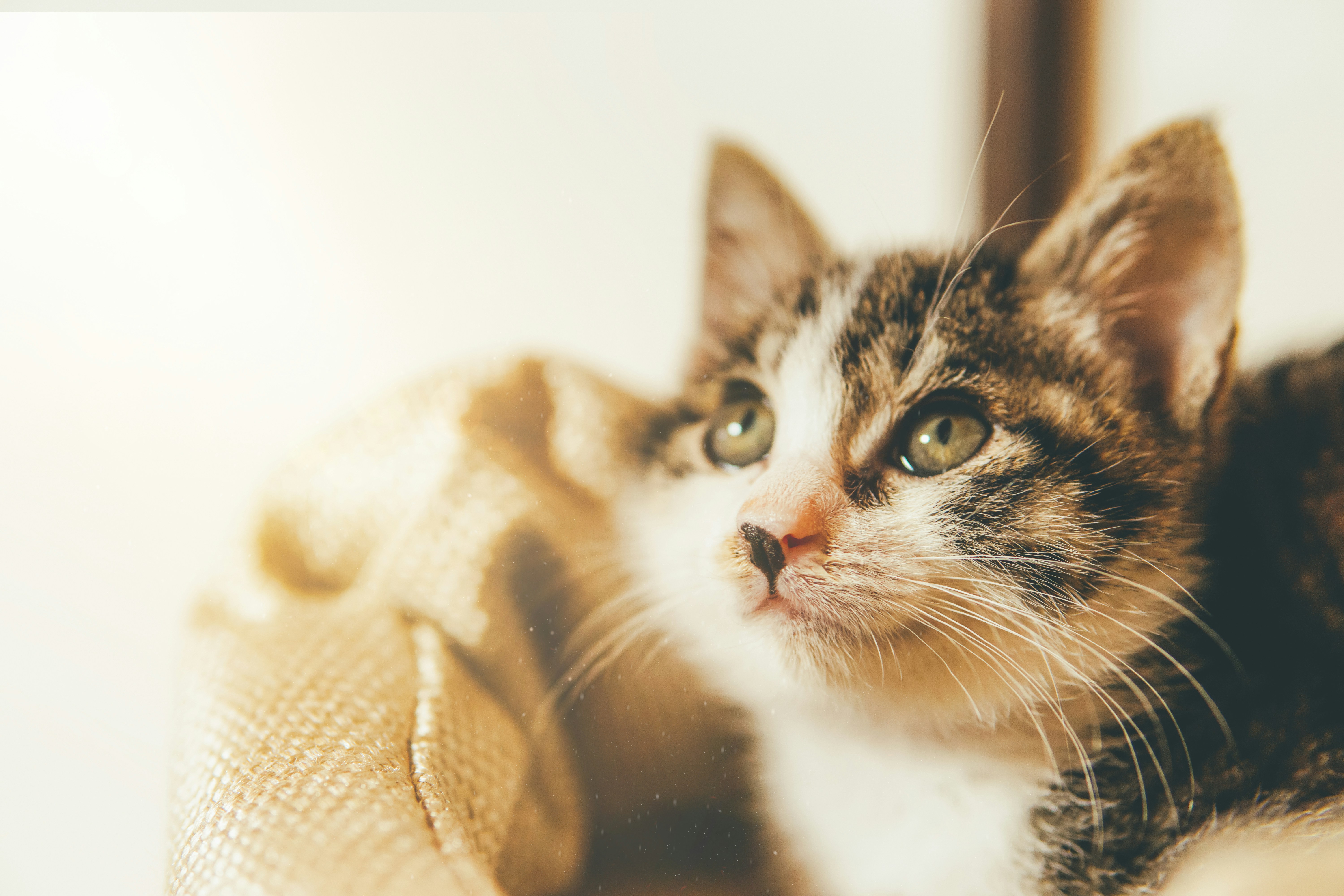 Photo by cosmonaut647