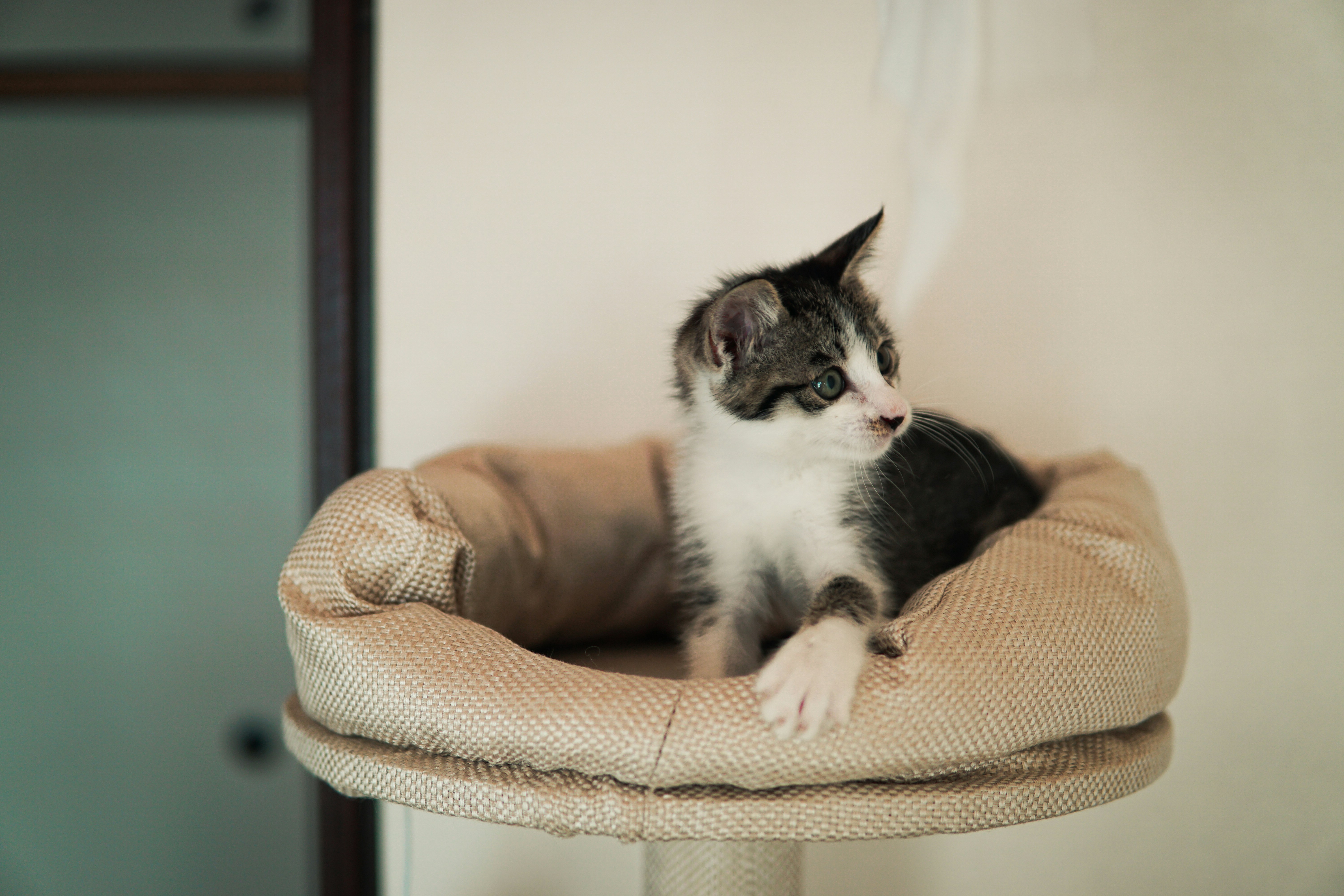 Photo by cosmonaut647