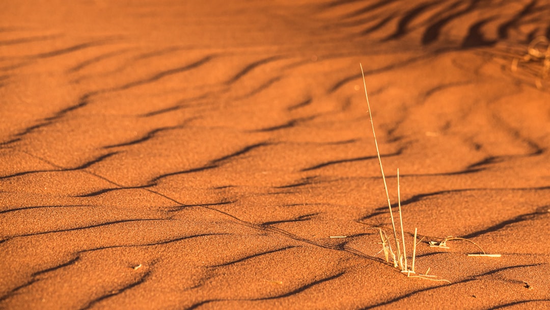 brown sand with brown stick