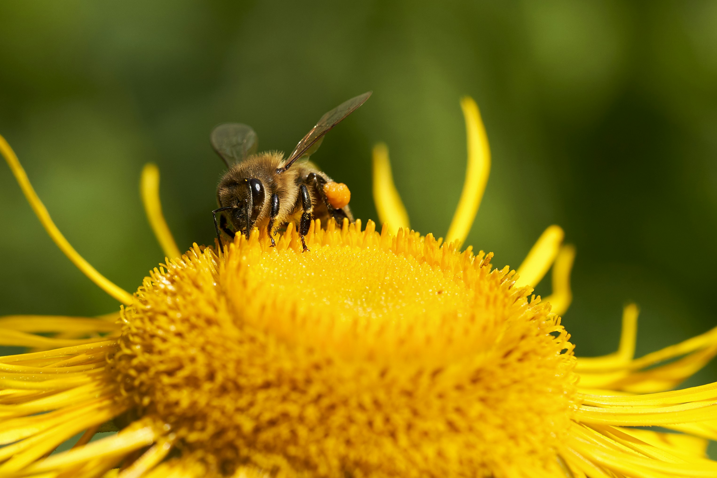 Photo by ingodoerrie