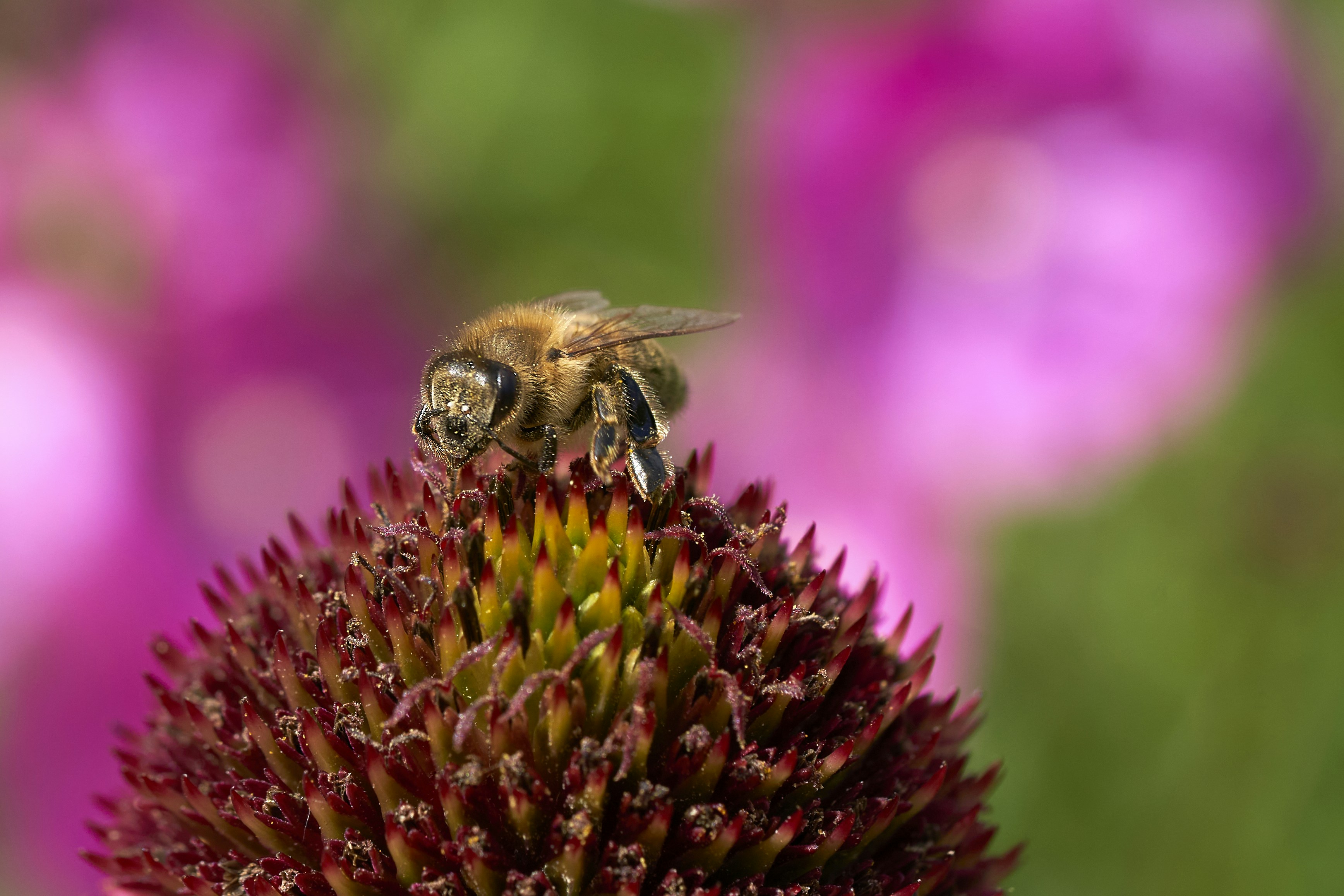 Photo by ingodoerrie