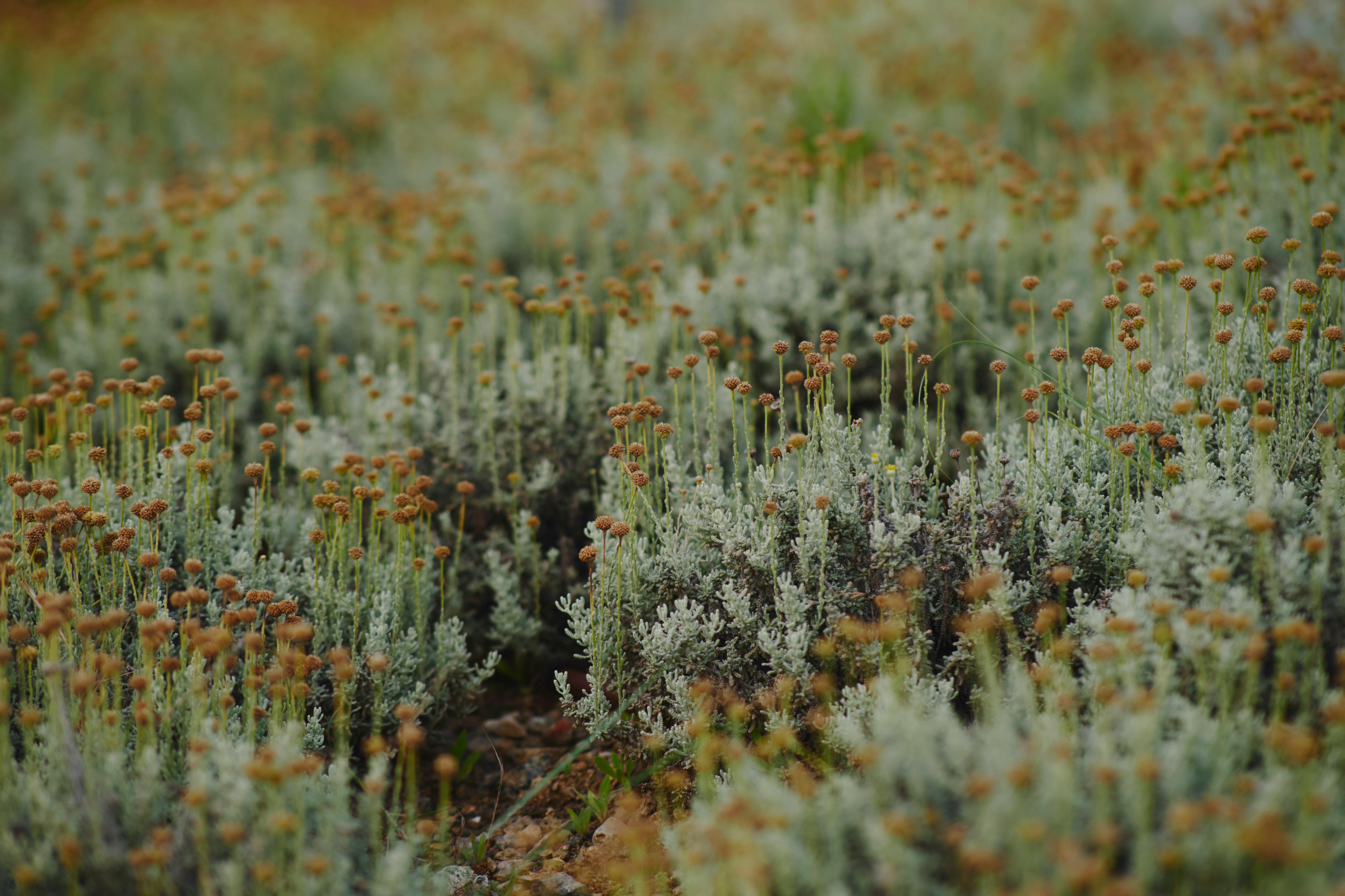 Photo by victor_vector