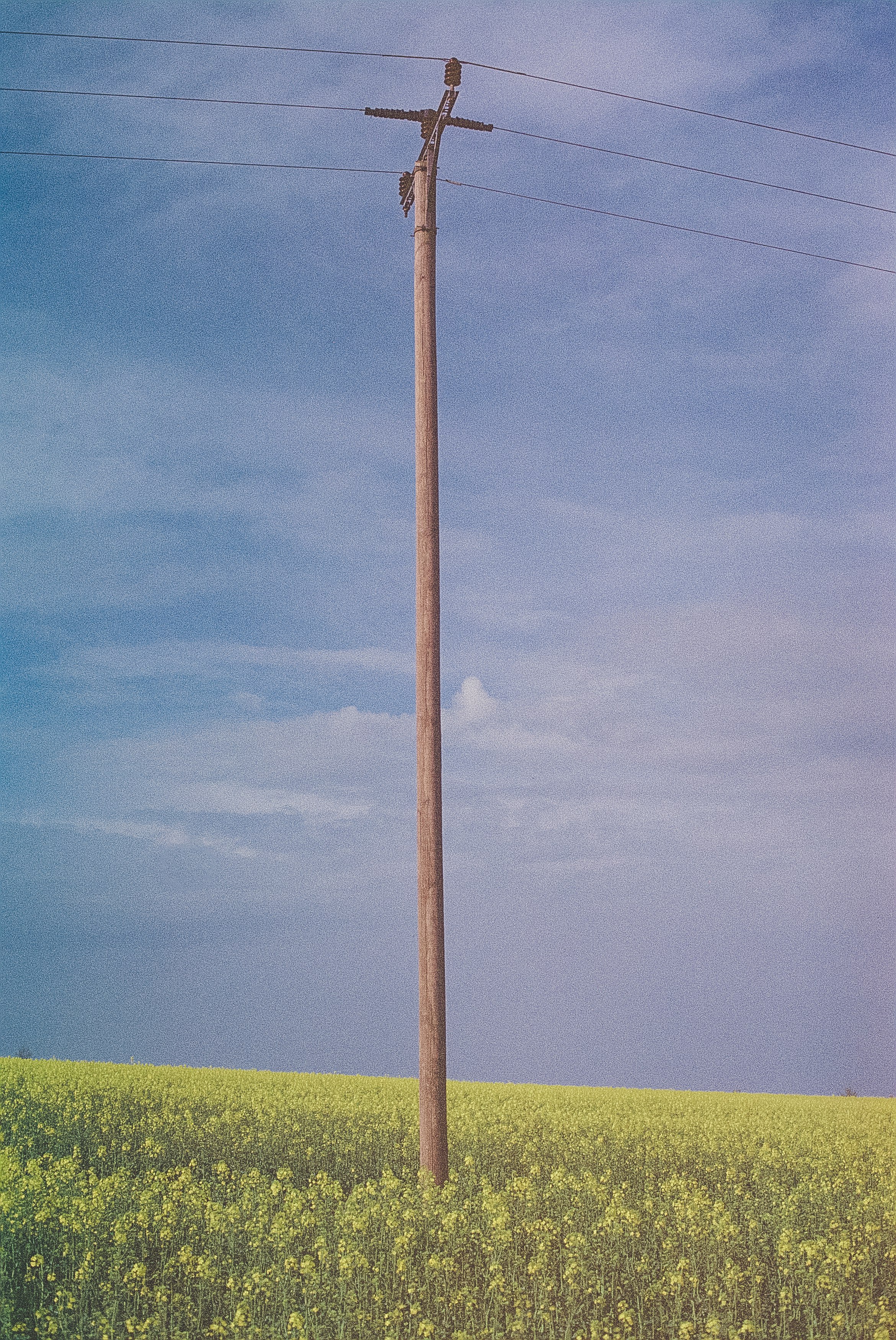 brown wooden stick on green grass field under blue sky during daytime