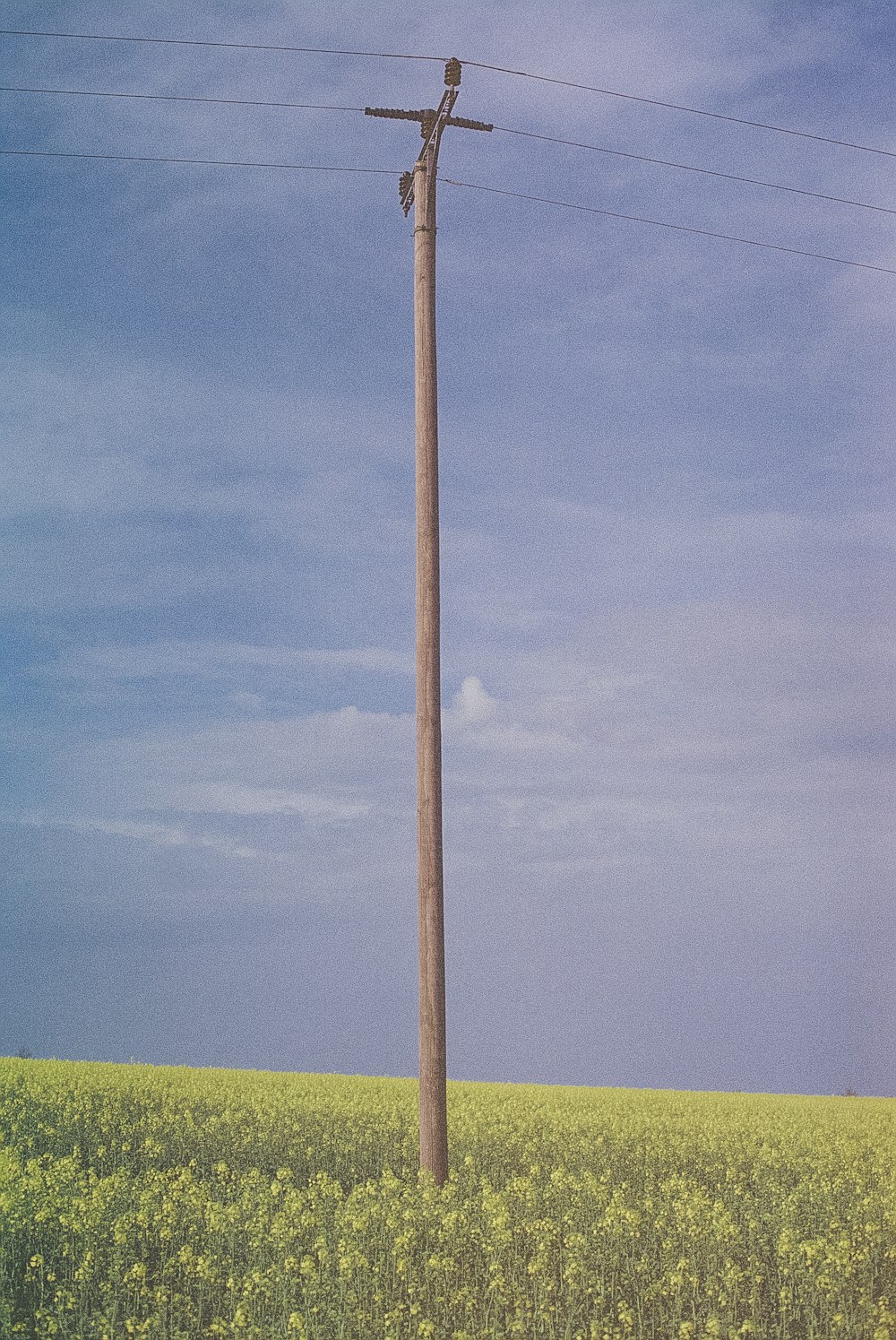 brauner Holzstab tagsüber auf grünem Rasenfeld unter blauem Himmel