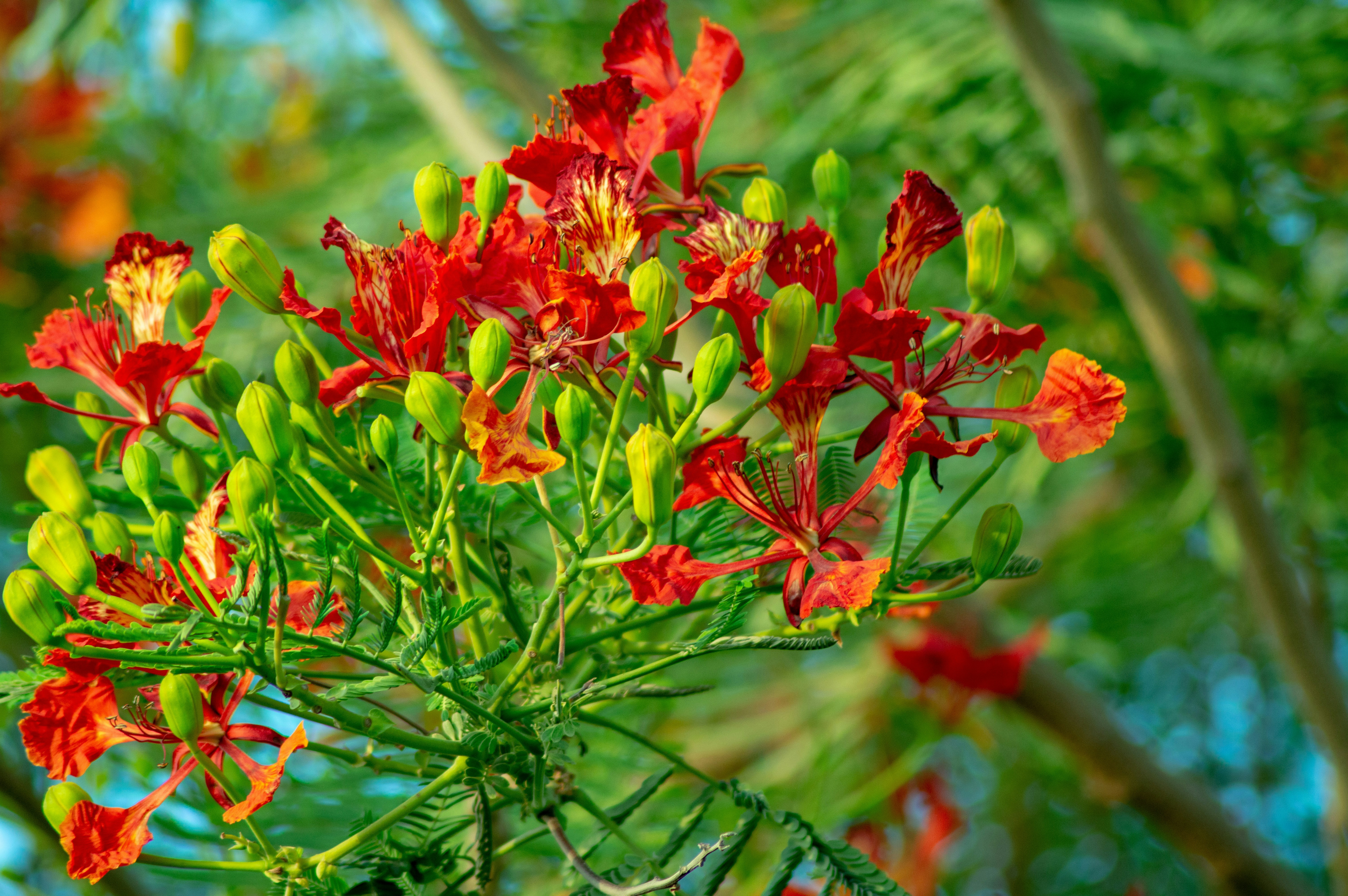 Photo by beingsanshots