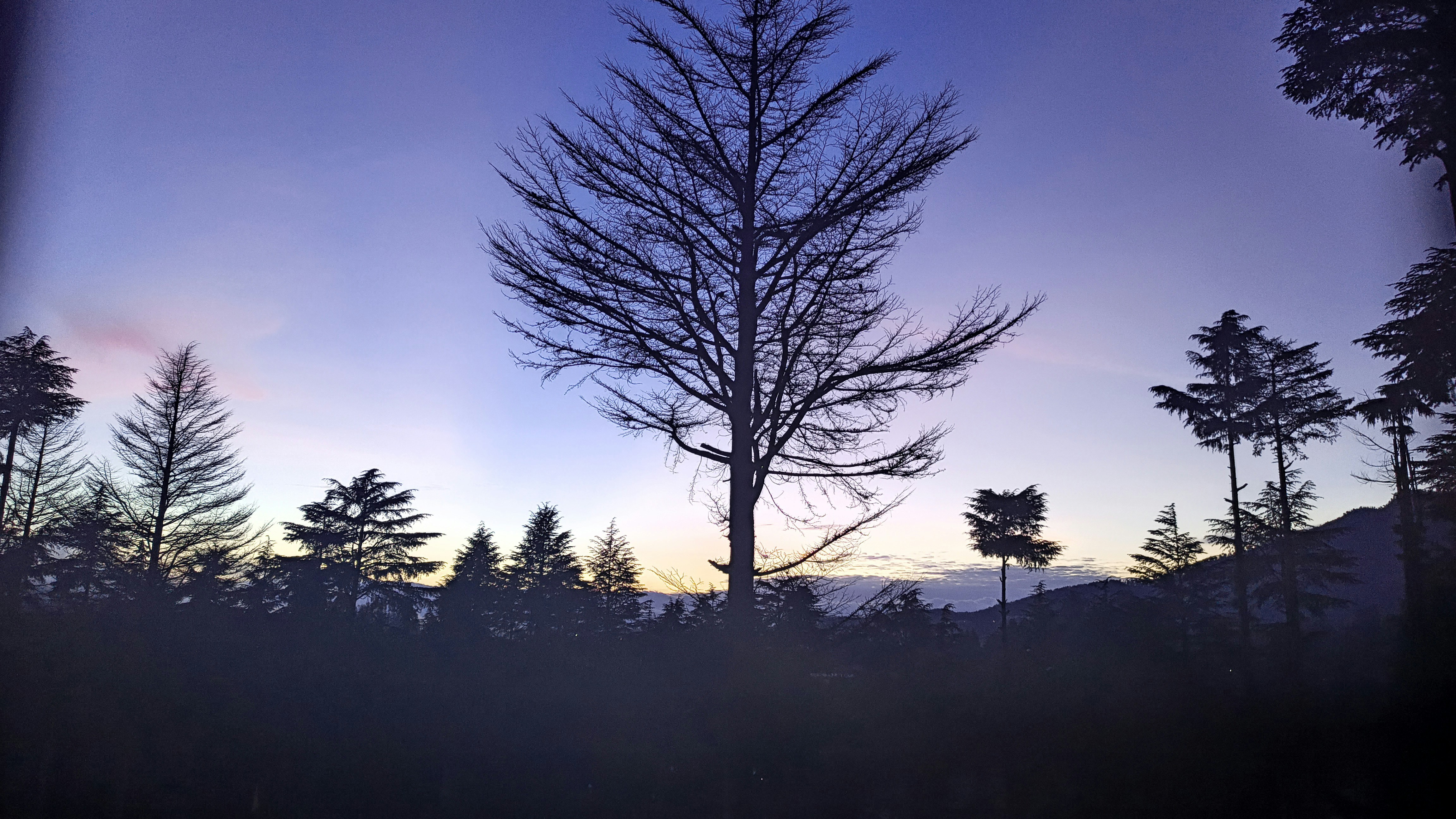 Photo by pankajjpandey615