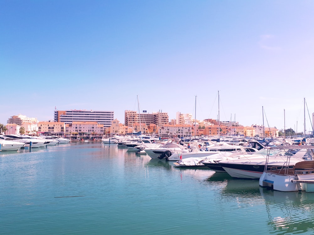 barcos brancos e azuis no mar perto de edifícios da cidade sob o céu azul durante o dia