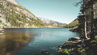 A serene mountain lake reflecting the surrounding pine forest at sunrise.