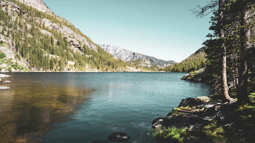 A serene mountain lake reflecting the surrounding pine forest at sunrise.
