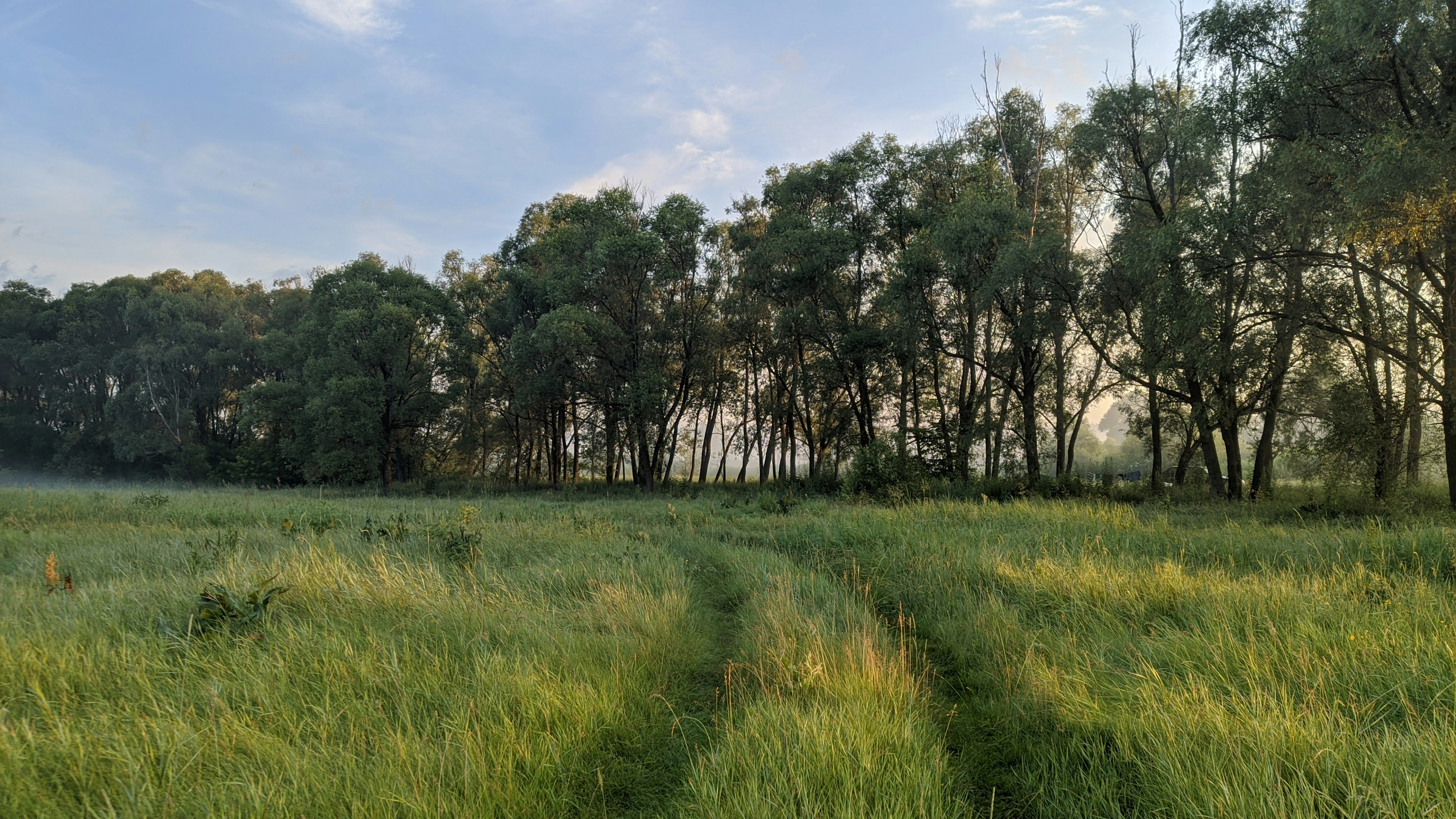 Photo by photofixation