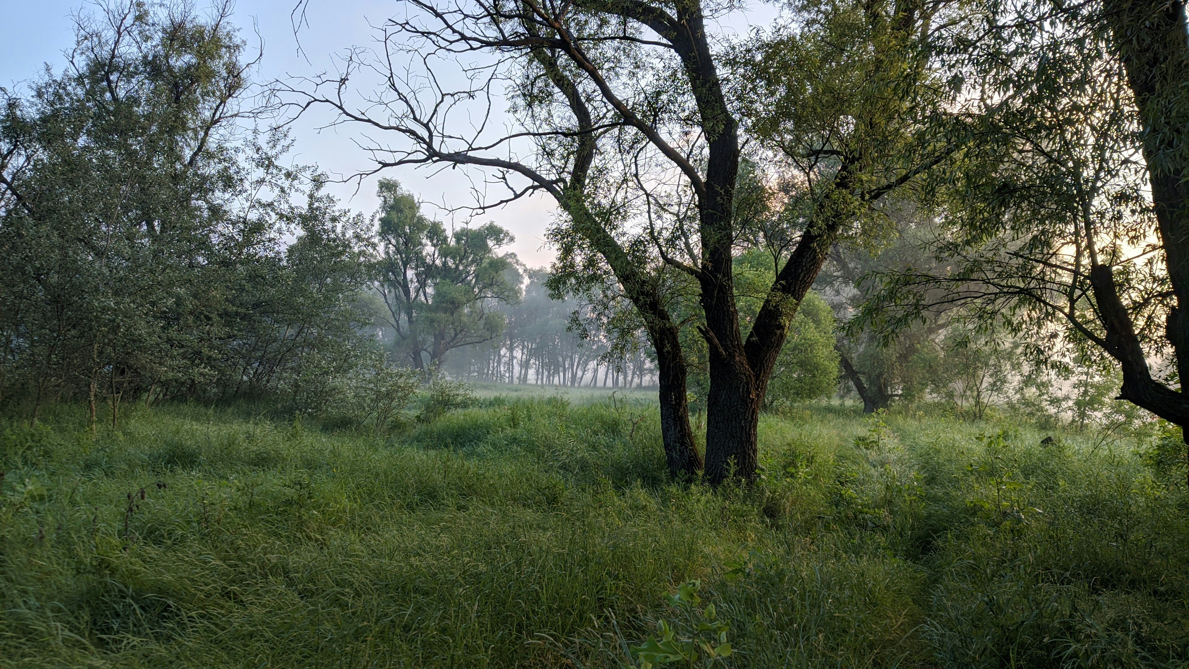 Photo by photofixation