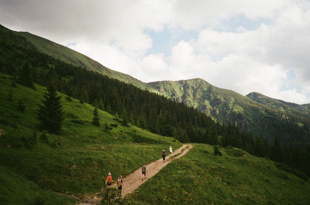 people walking on green grass field near green trees and mountains during daytime