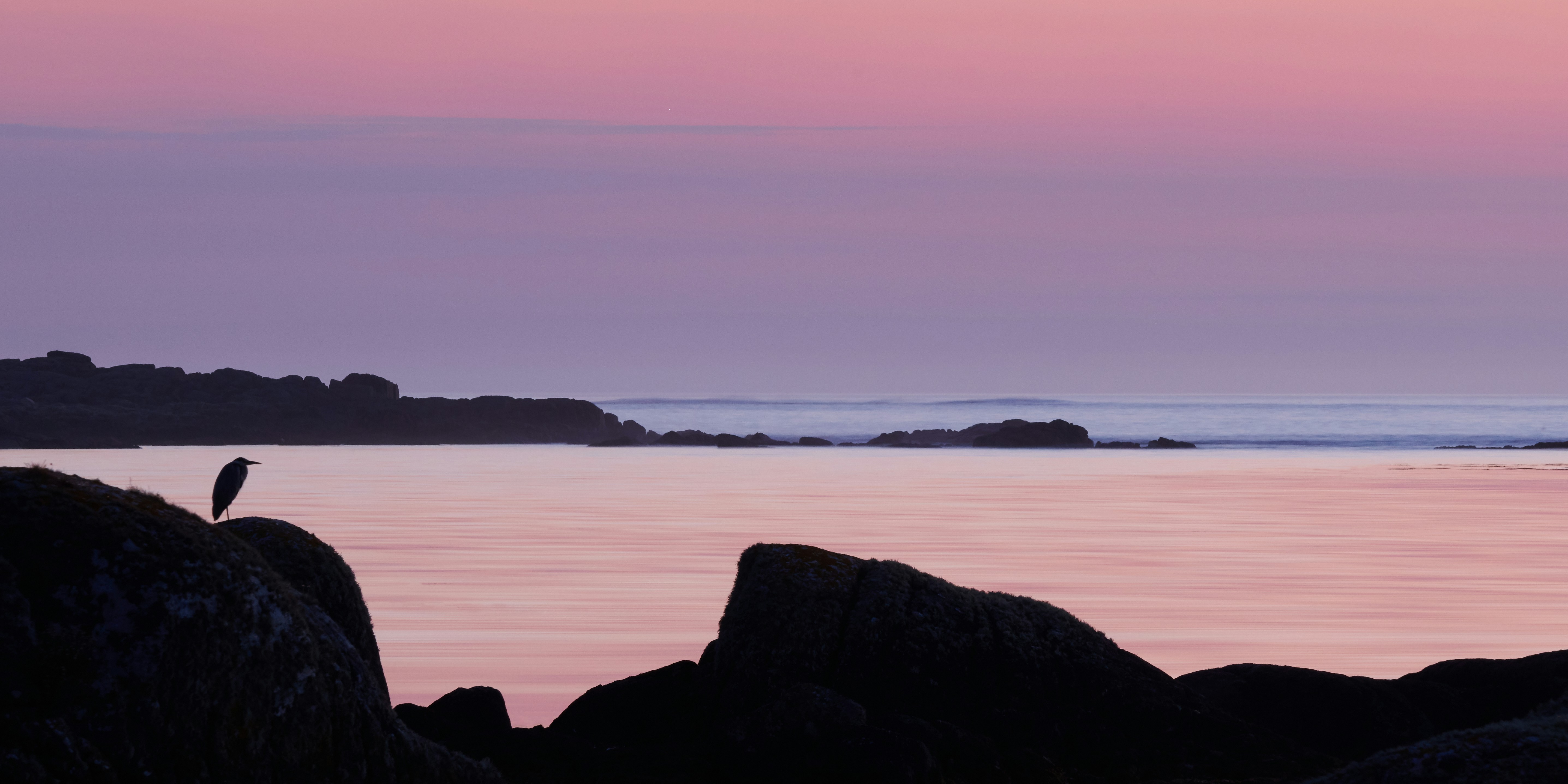 Photo by johnygoerend