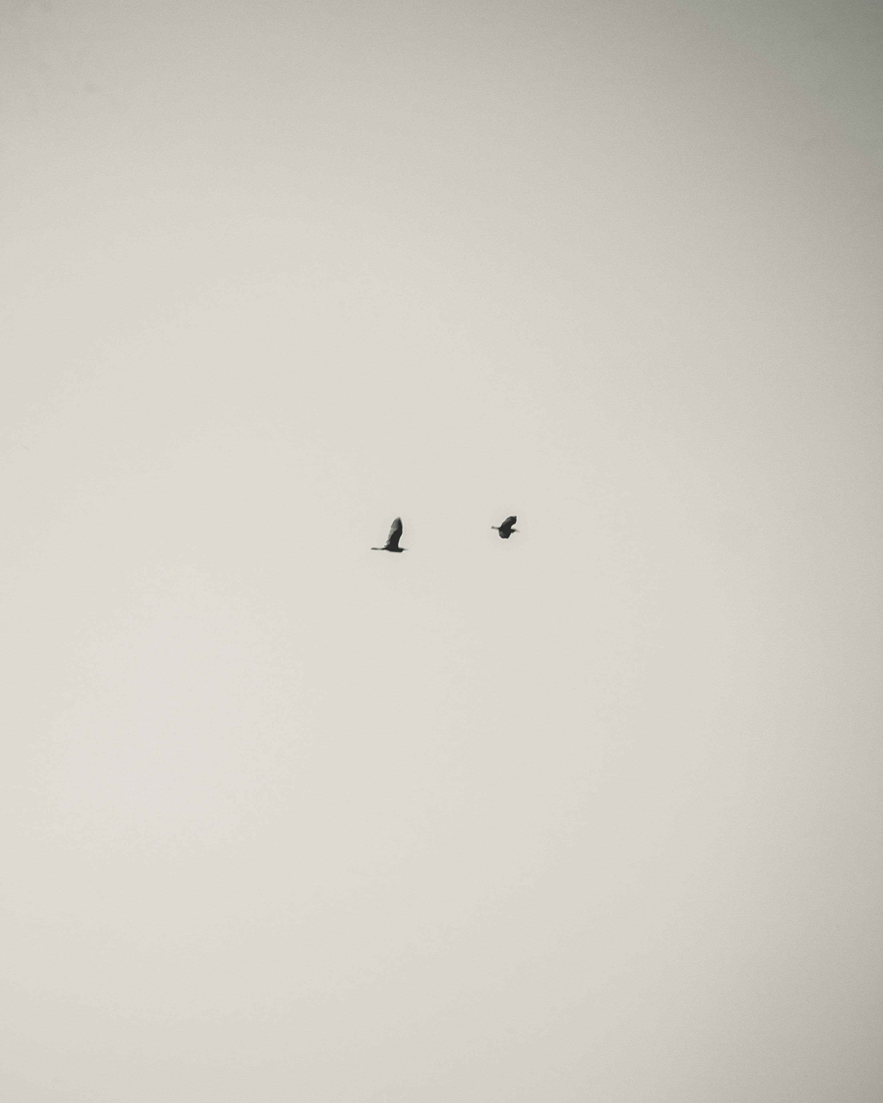 Photo by ekarizal_fikri