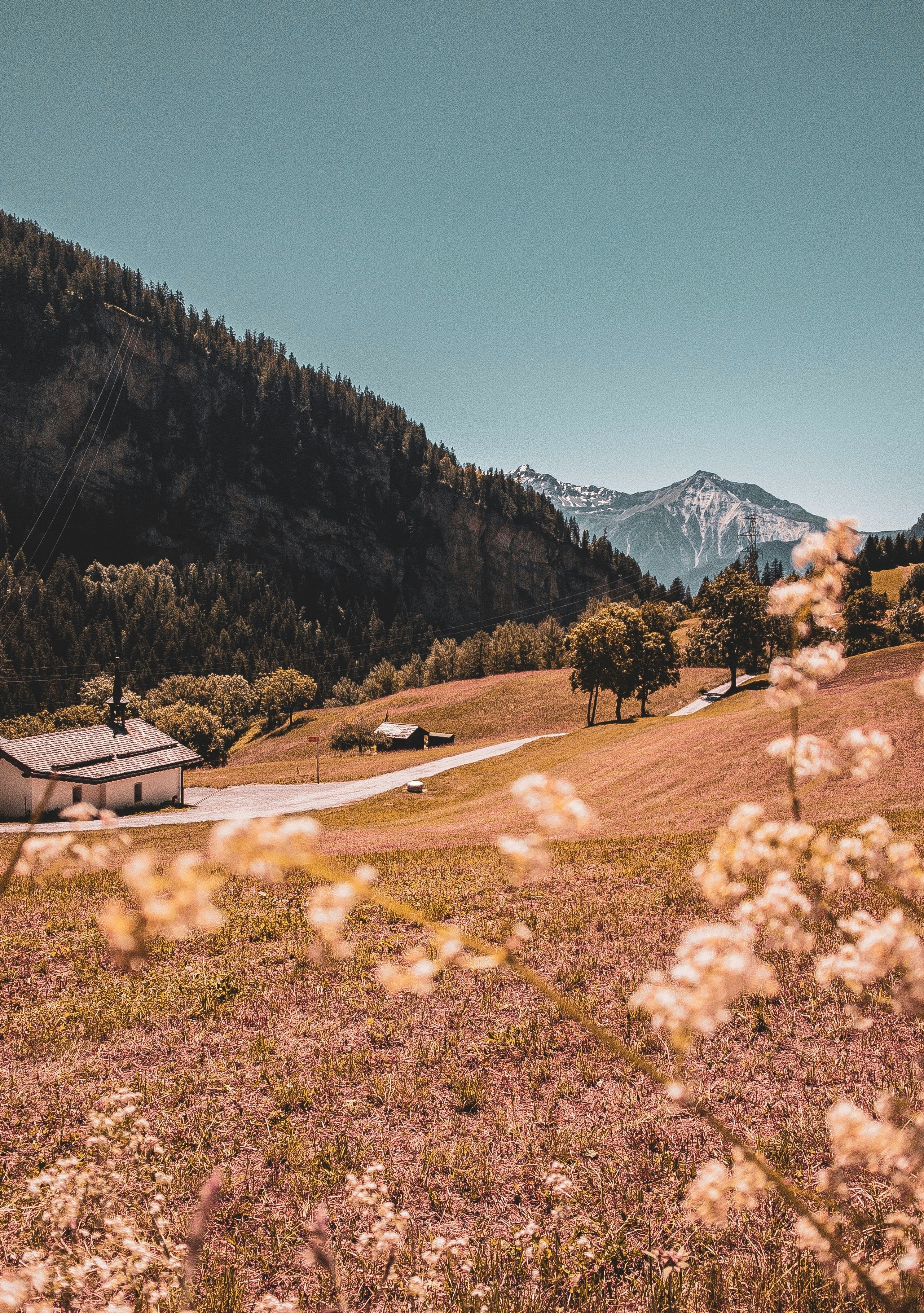 ferienwohnung in leukerbad mieten online