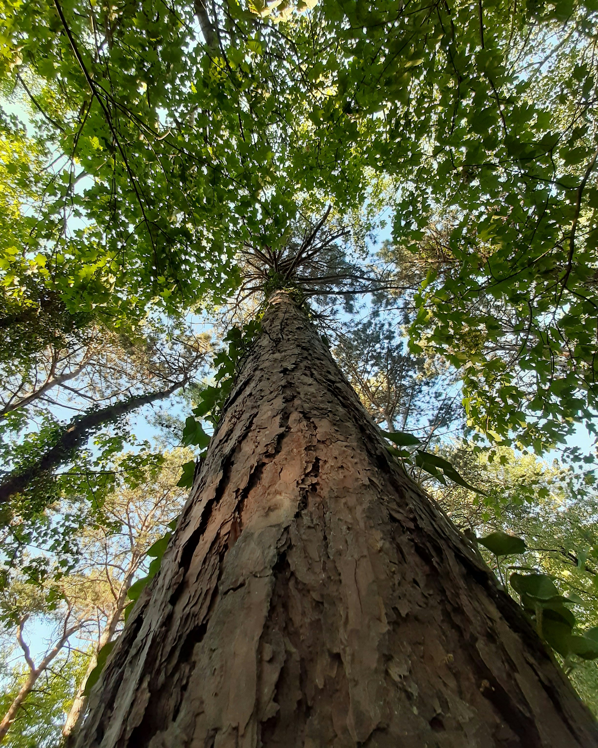 Photo by nathalie_l_62