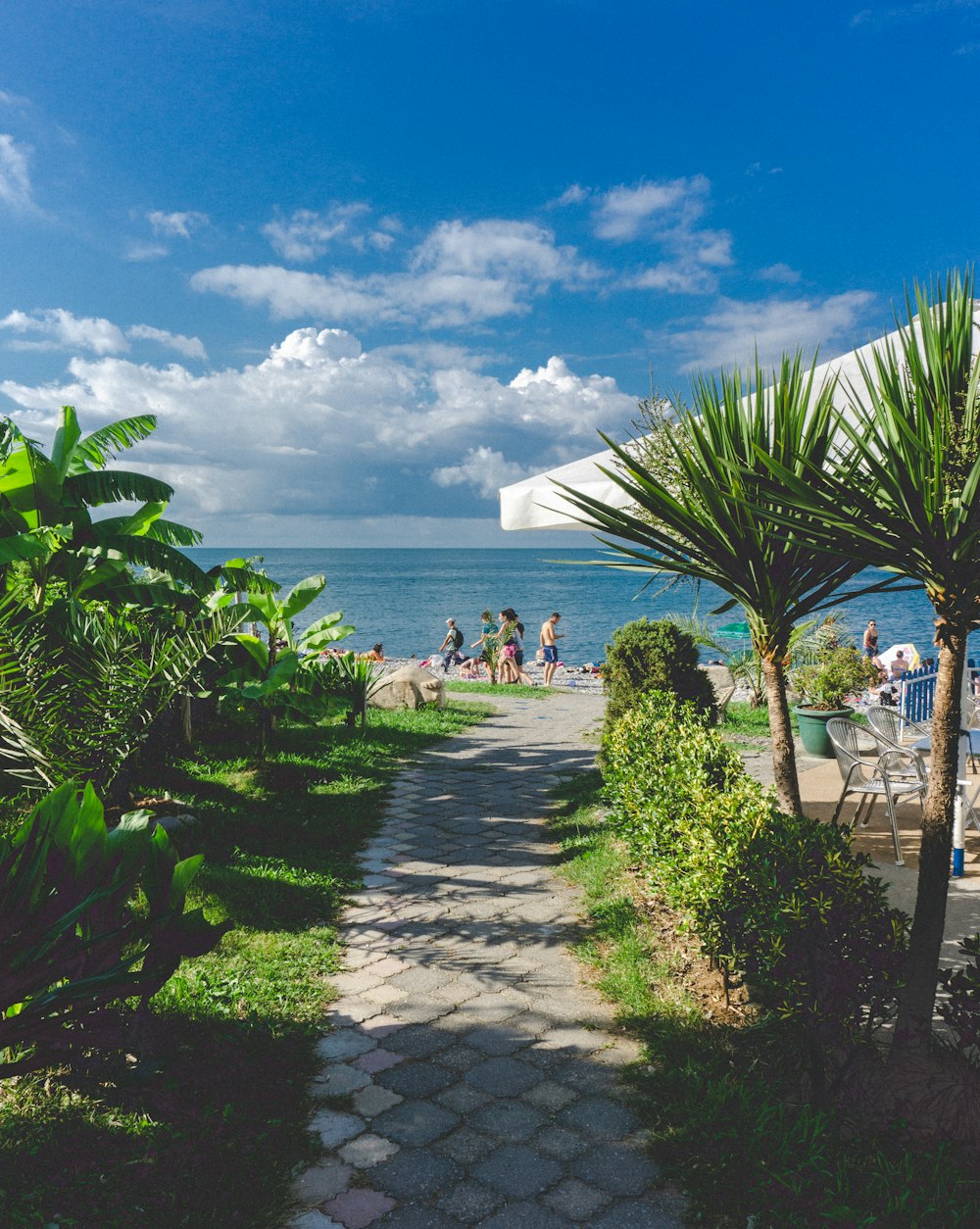 people walking on pathway near sea under blue sky during daytime
