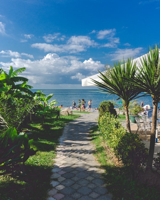 people walking on pathway near sea under blue sky during daytime in Batumi Georgia