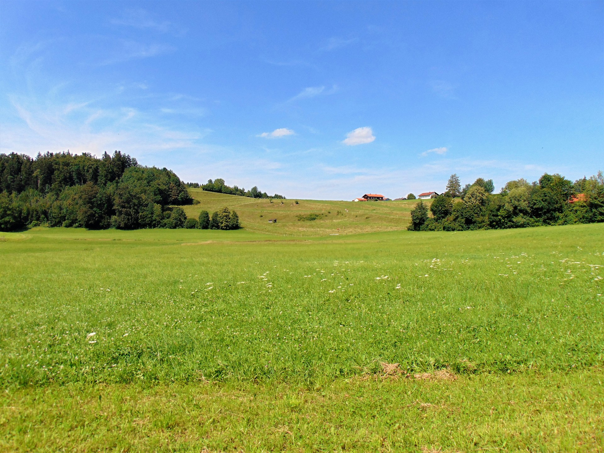 green grass field under blue sky during daytime