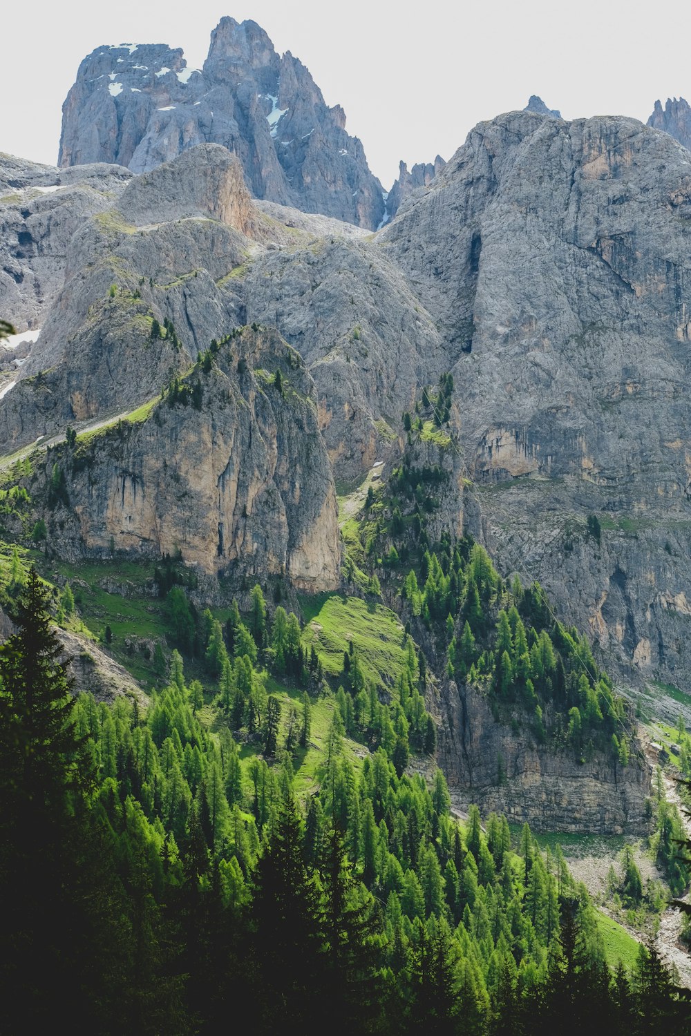 green trees on rocky mountain during daytime