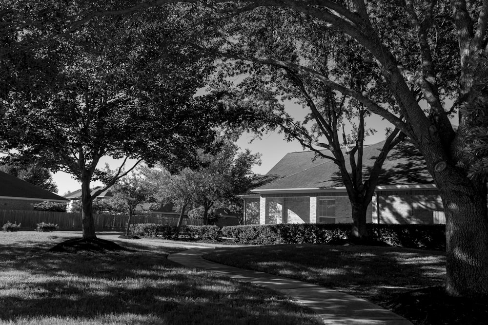 grayscale photo of trees and house
