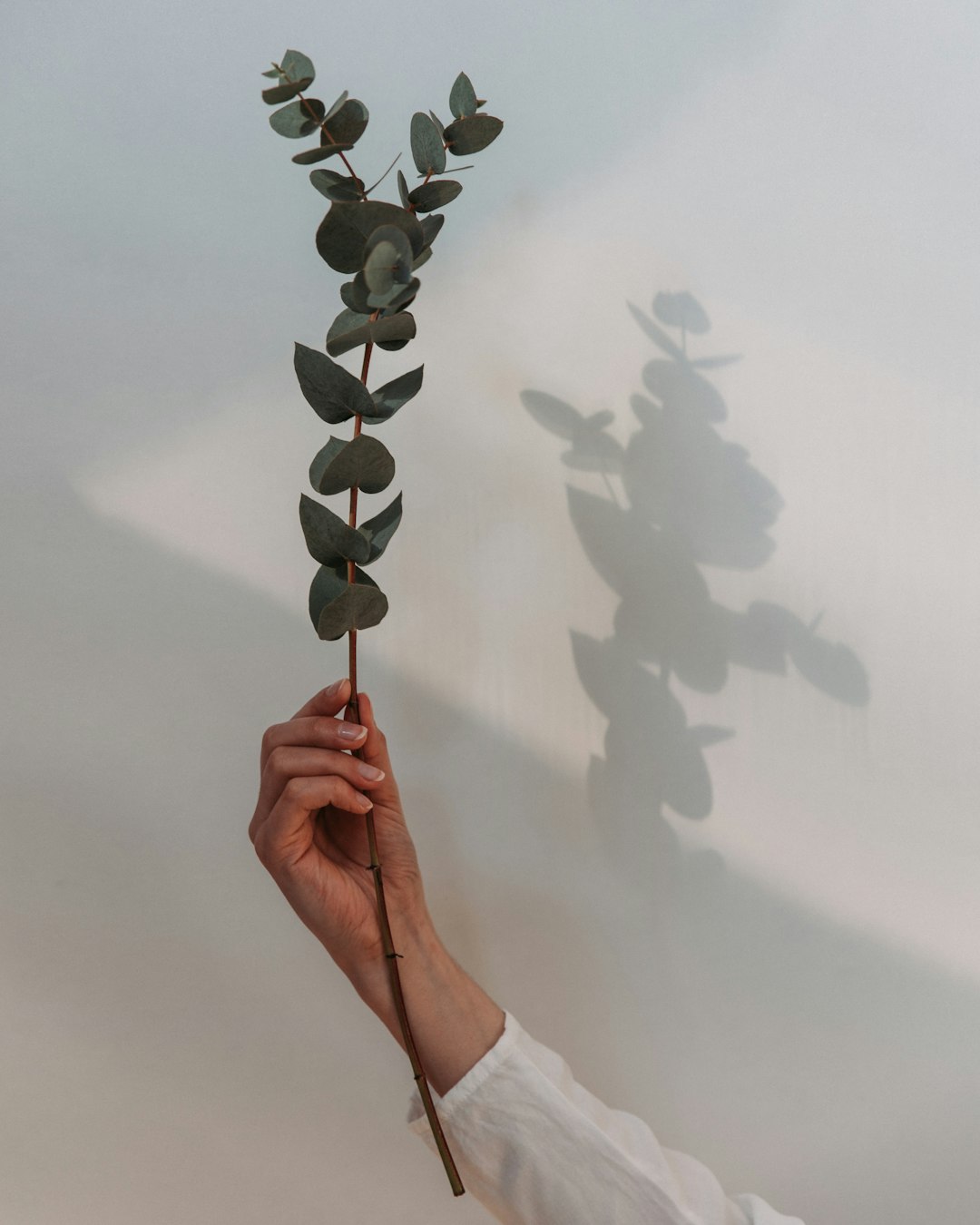 person holding black beaded necklace