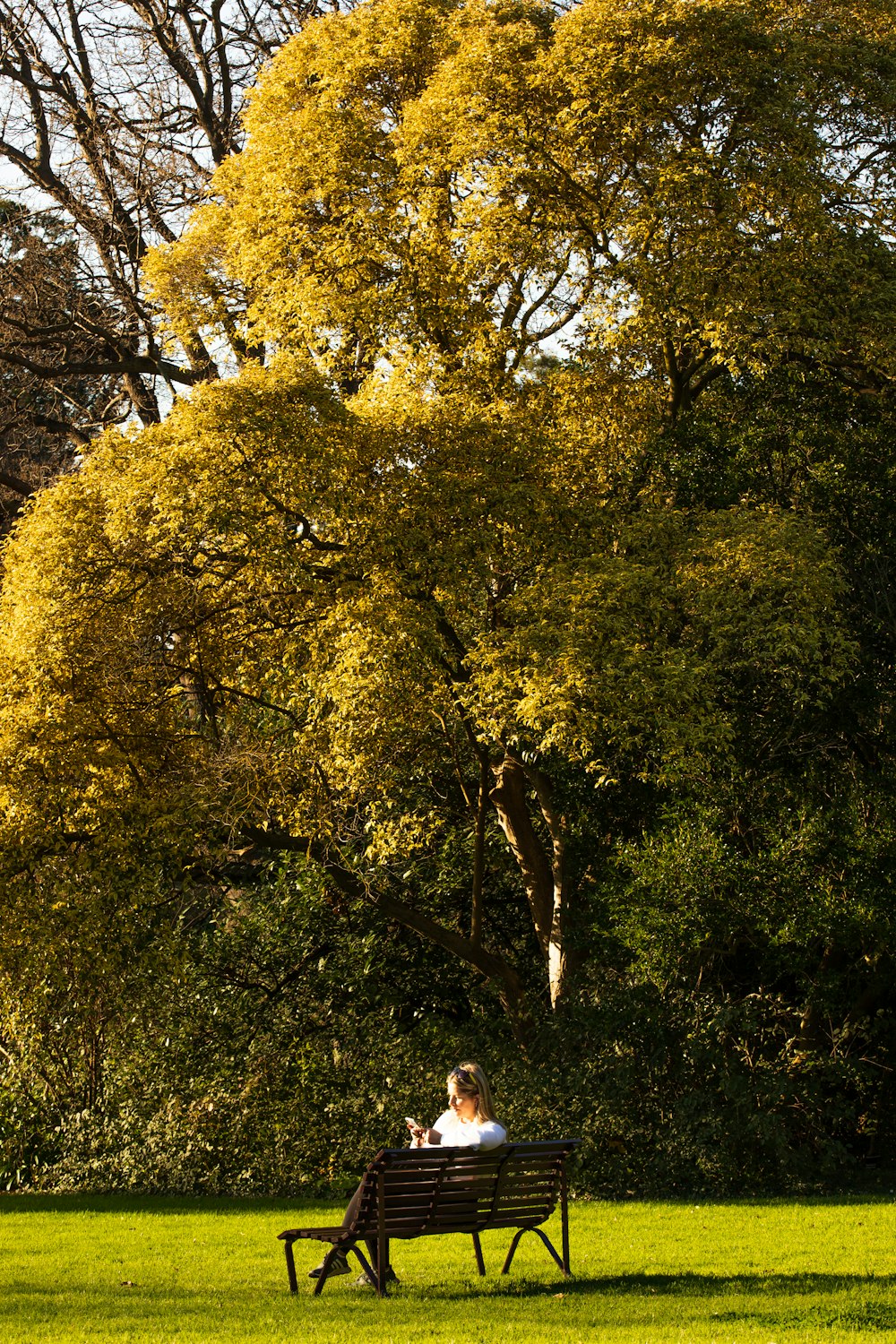 mulher na camisa branca que está perto das árvores verdes durante o dia